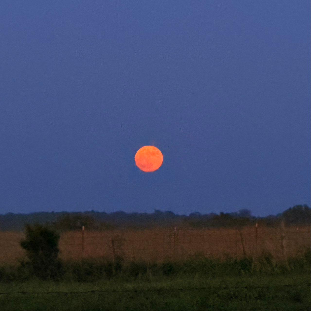 The Moon over Inola, United States — full moon, Lunar Day 16