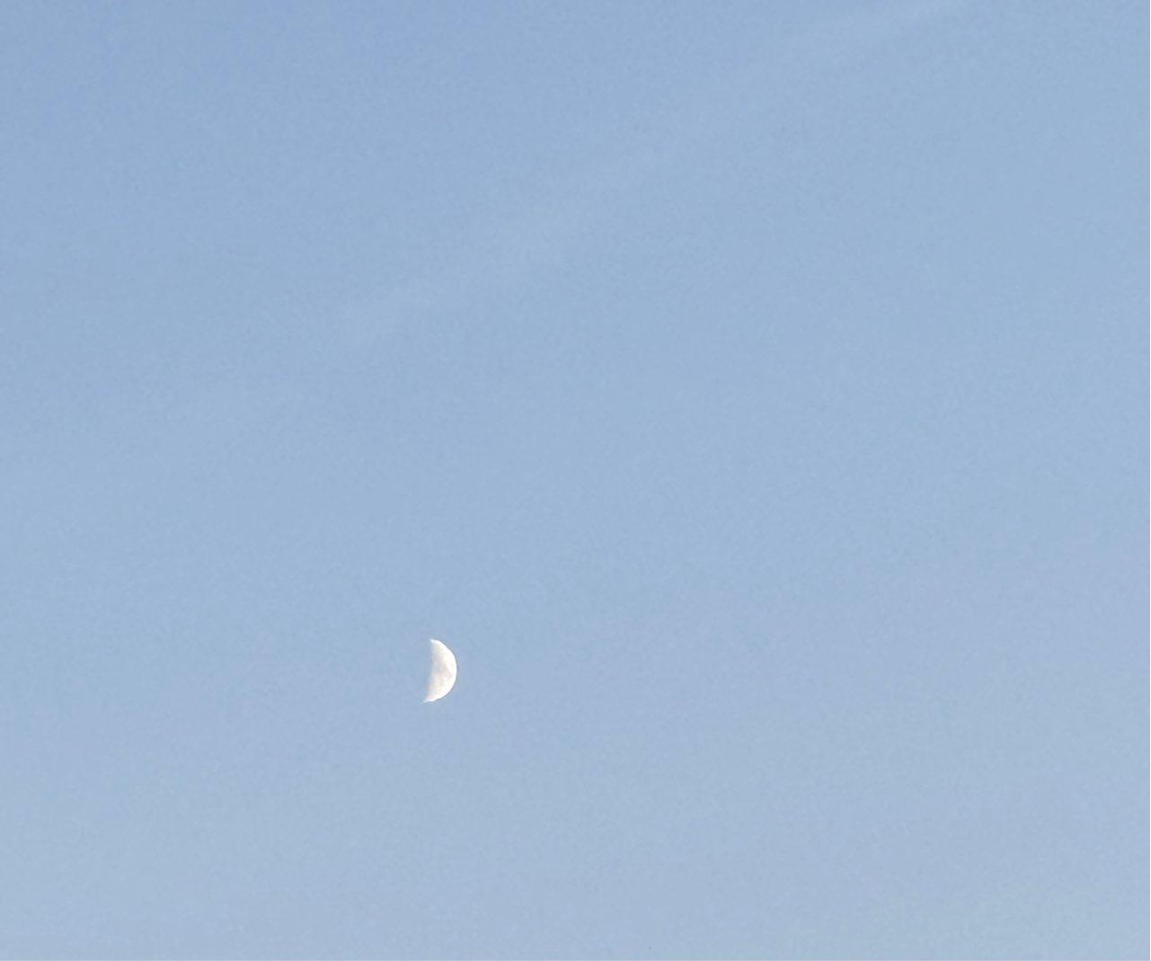 The Moon over Poitiers, France — first quarter, Lunar Day 8