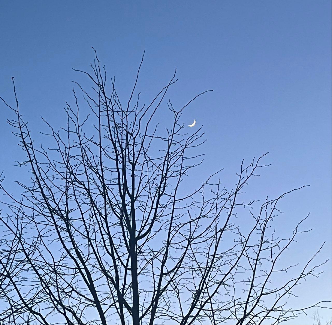 The Moon over Moscow, Russia — waxing crescent, Lunar Day 4