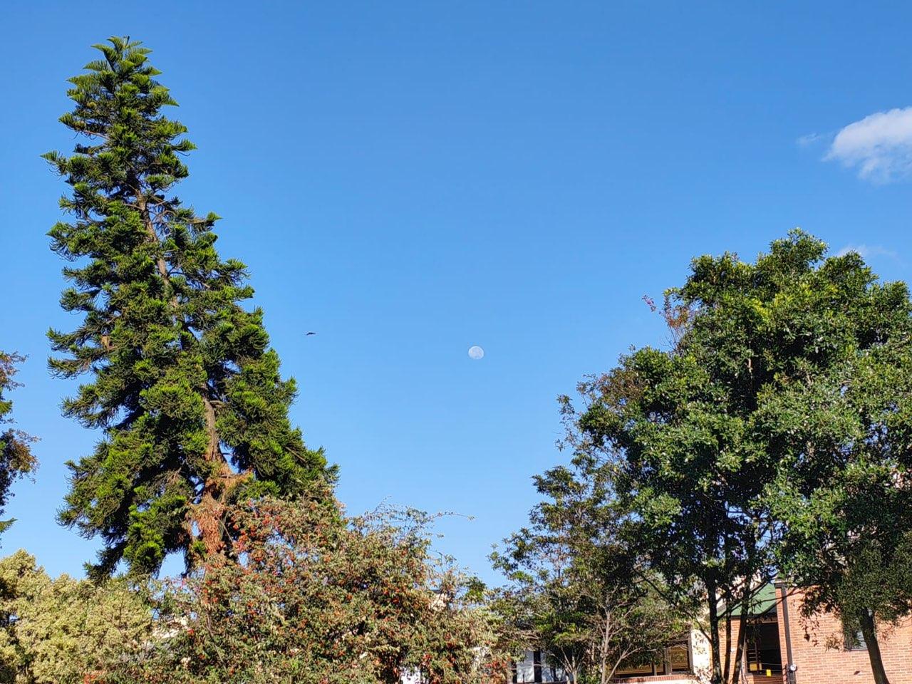 The Moon over Bogotá, Colombia — waning gibbous, Lunar Day 18