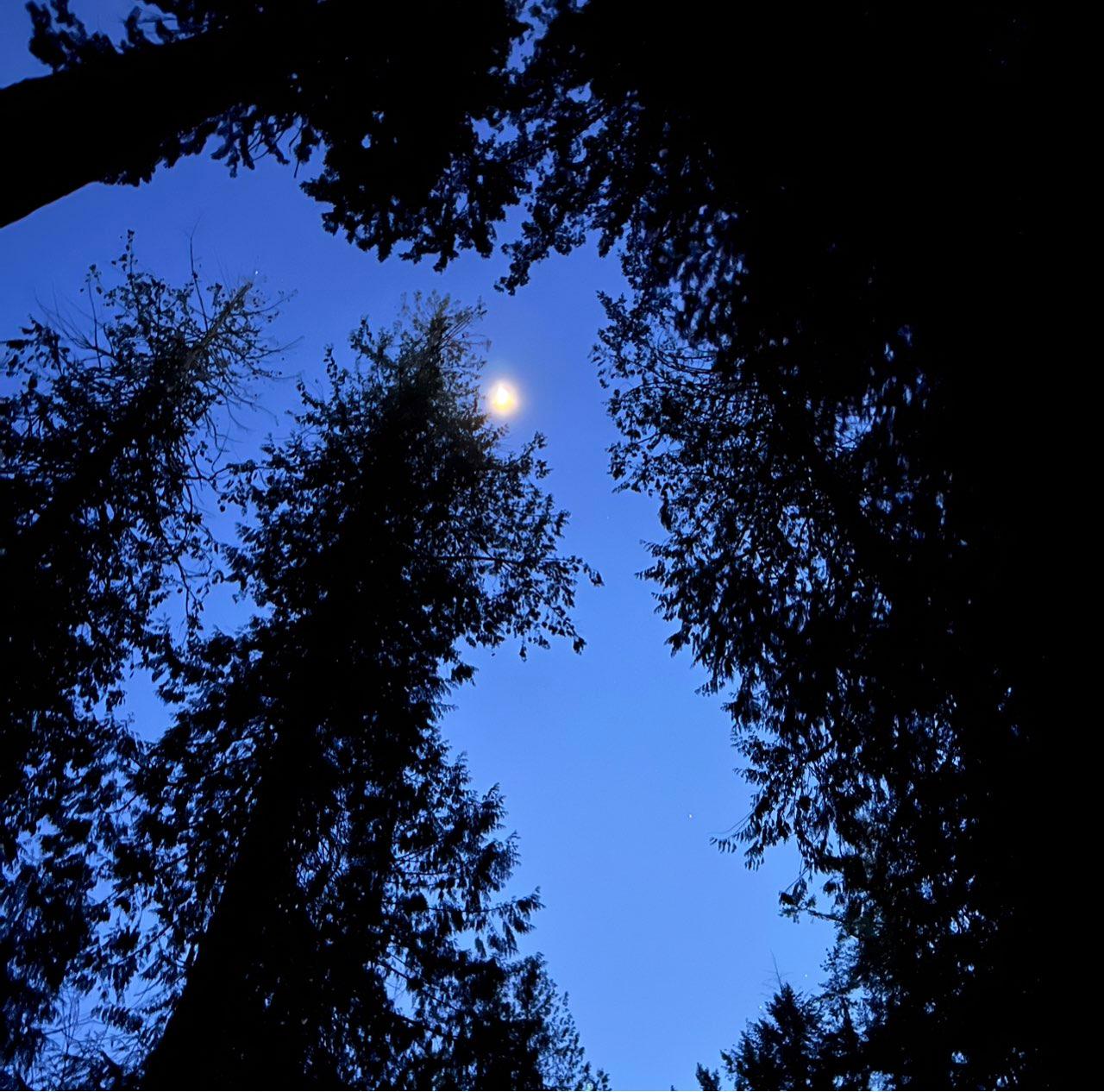 The Moon over Squamish-Lillooet, Canada — first quarter, Lunar Day 9