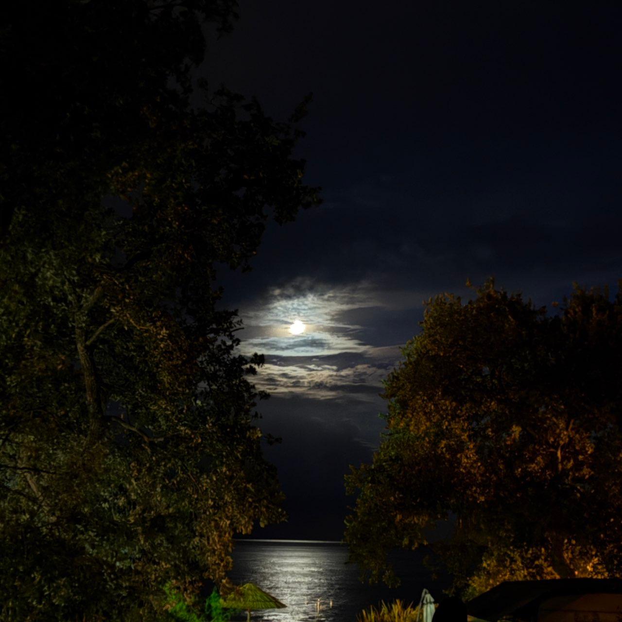 The Moon over Vabriga, Kroatien — first quarter, Lunar Day 8