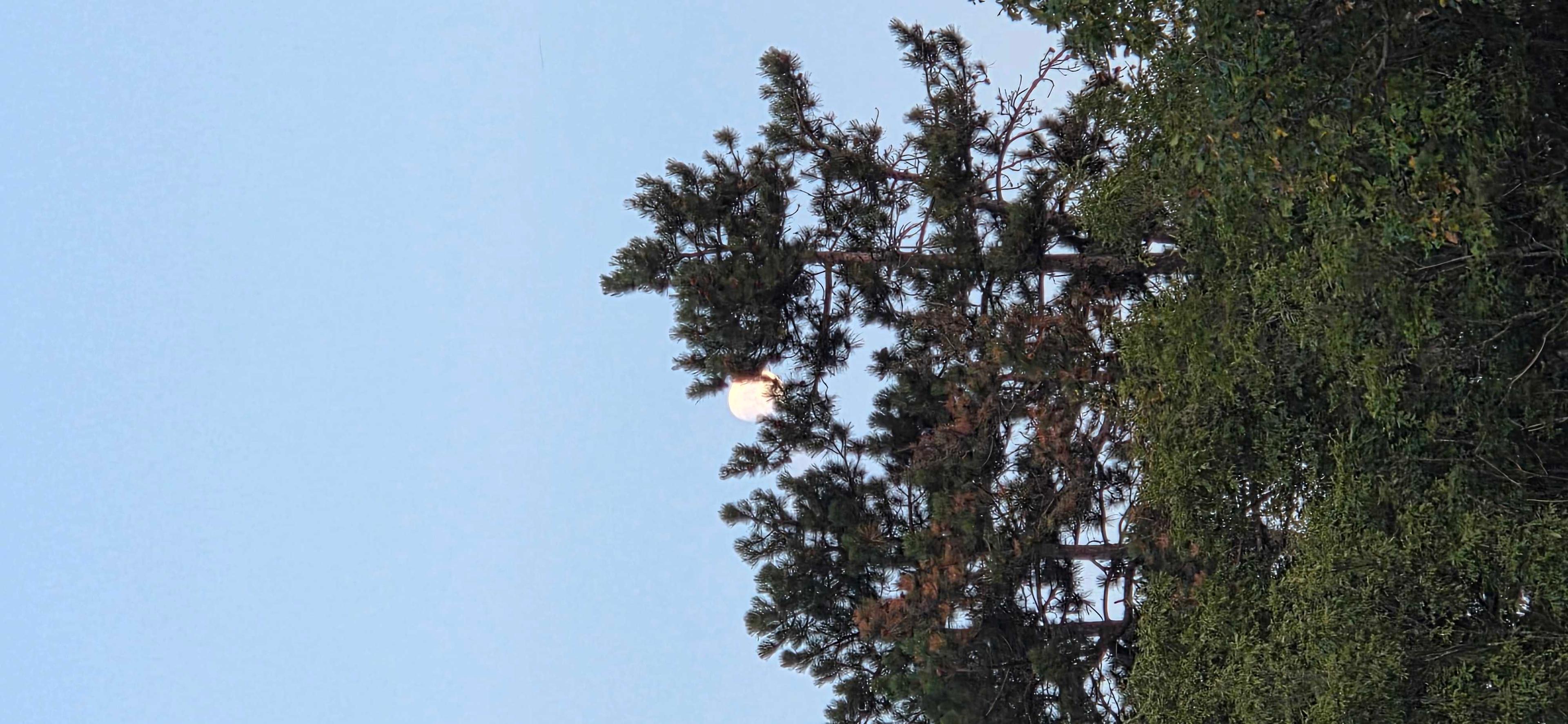 The Moon over Trieste, Italia — waxing gibbous, Lunar Day 12
