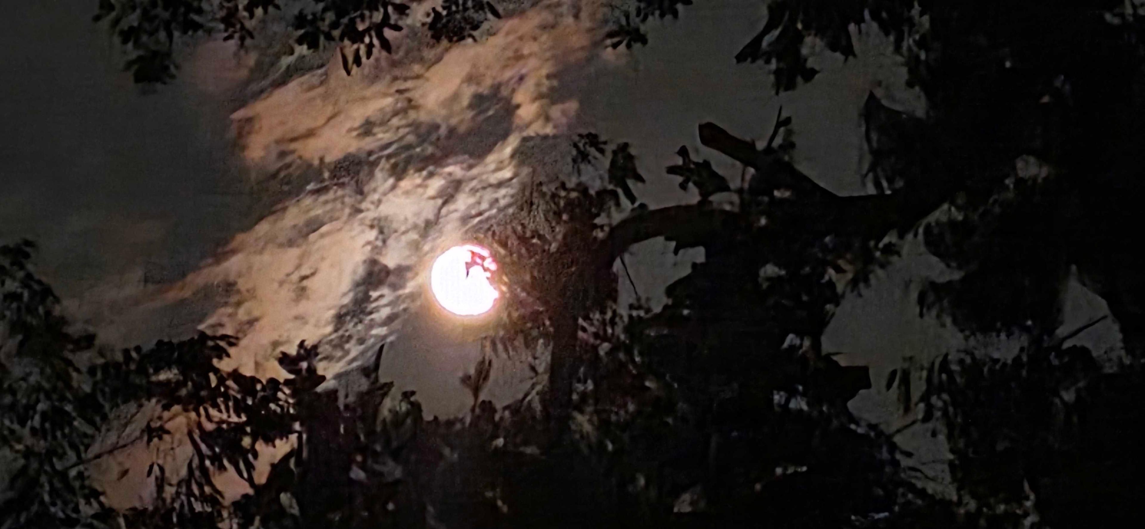 The Moon over Little Rock, United States — full moon, Lunar Day 17