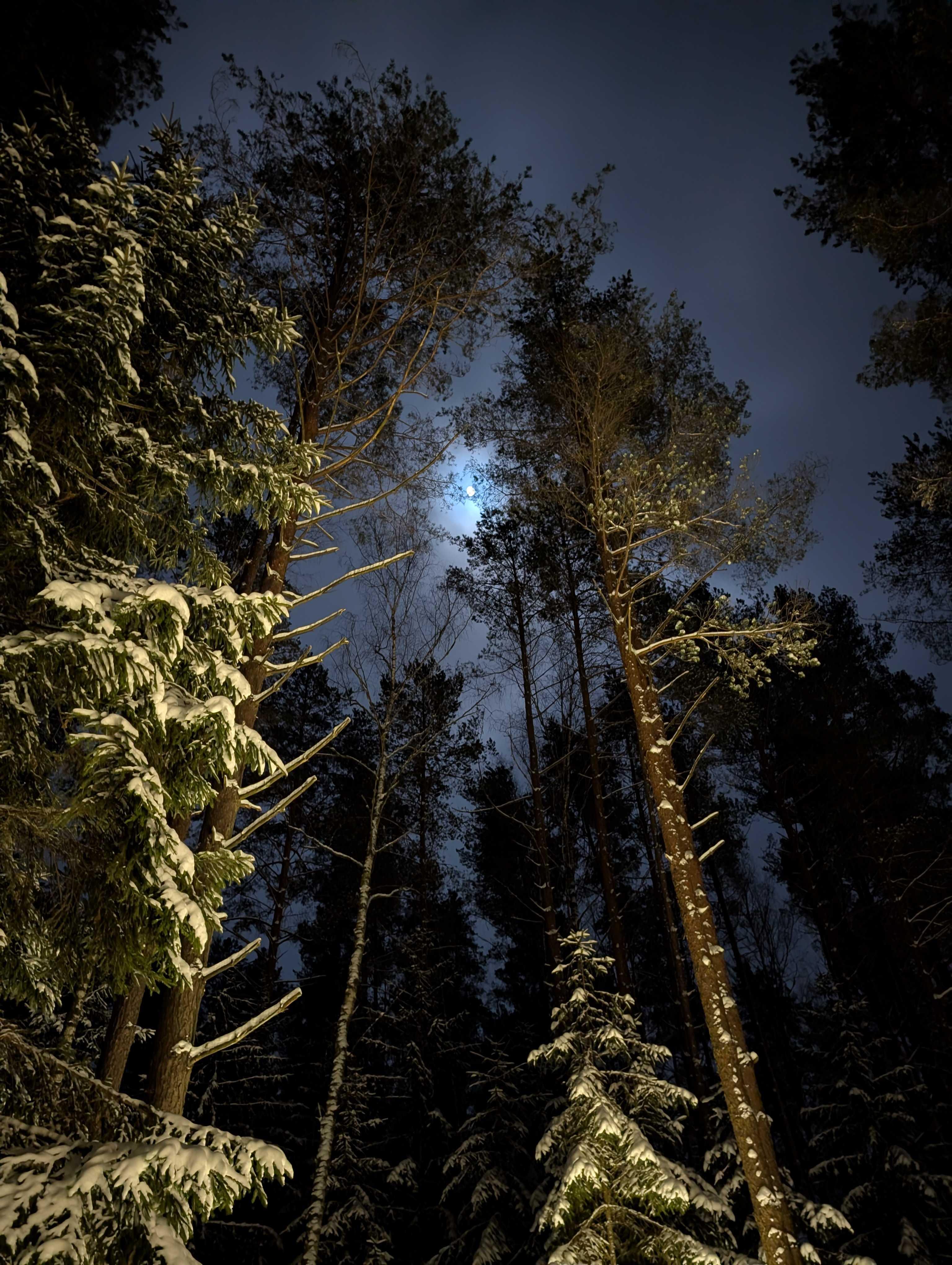 The Moon over Minsk, Belarus — full moon, Lunar Day 16