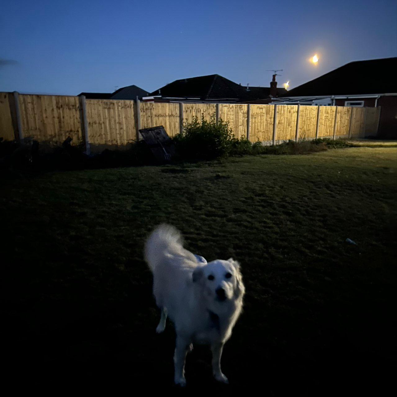 The Moon over Wrexham, United Kingdom — full moon, Lunar Day 16