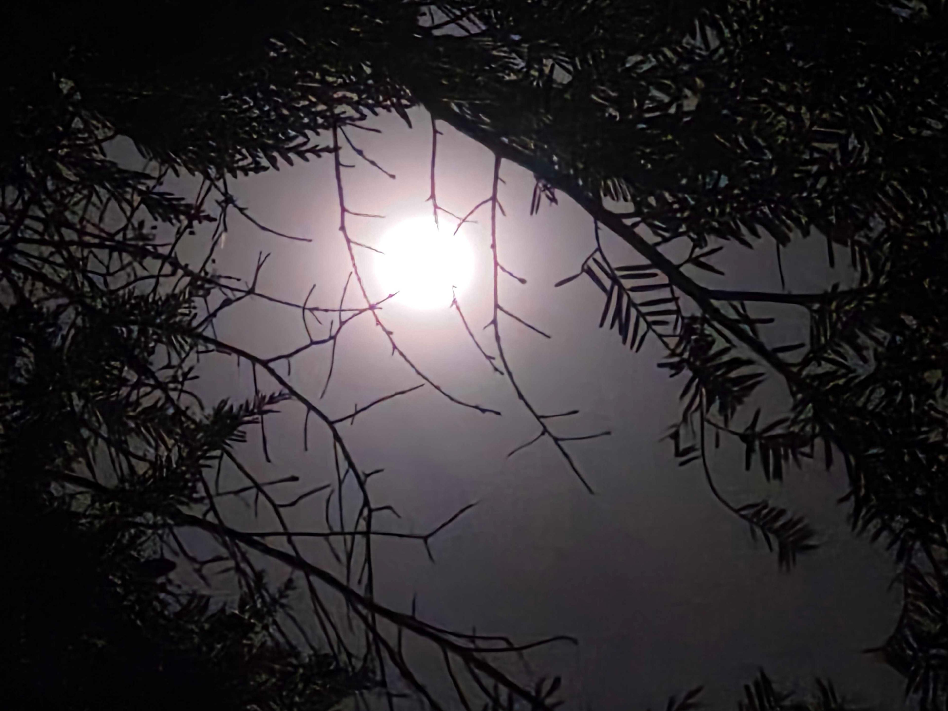 The Moon over Squamish, Canada — full moon, Lunar Day 17