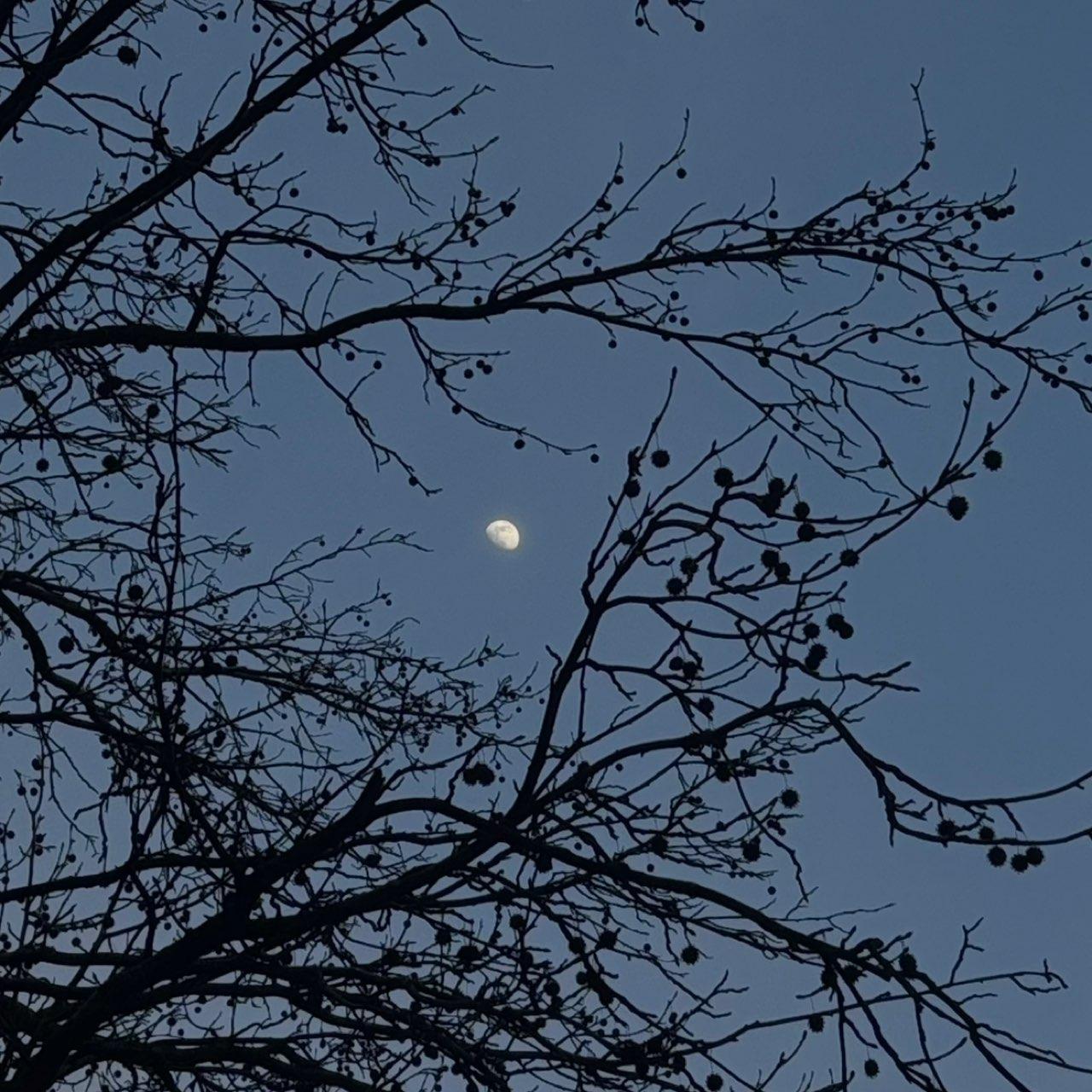 The Moon over Batumi, Georgia — waxing gibbous, Lunar Day 11