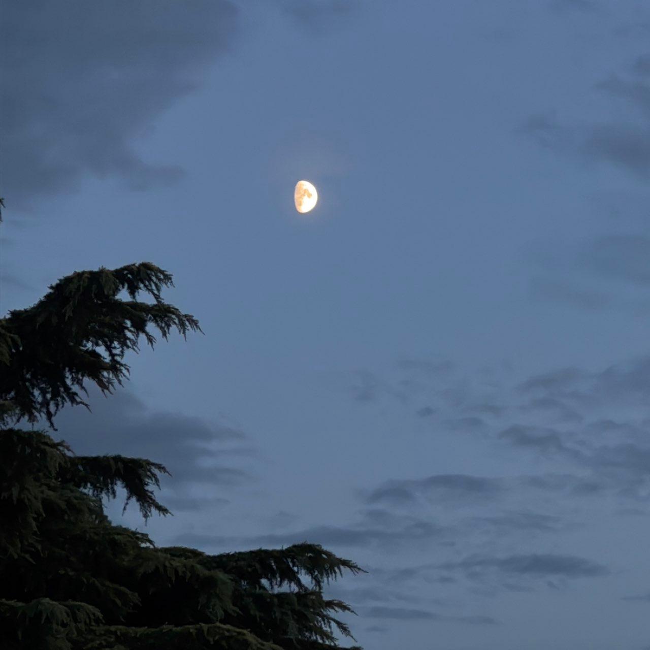The Moon over Saint-Cyr-au-Mont-d'Or, France — waxing gibbous, Lunar Day 11