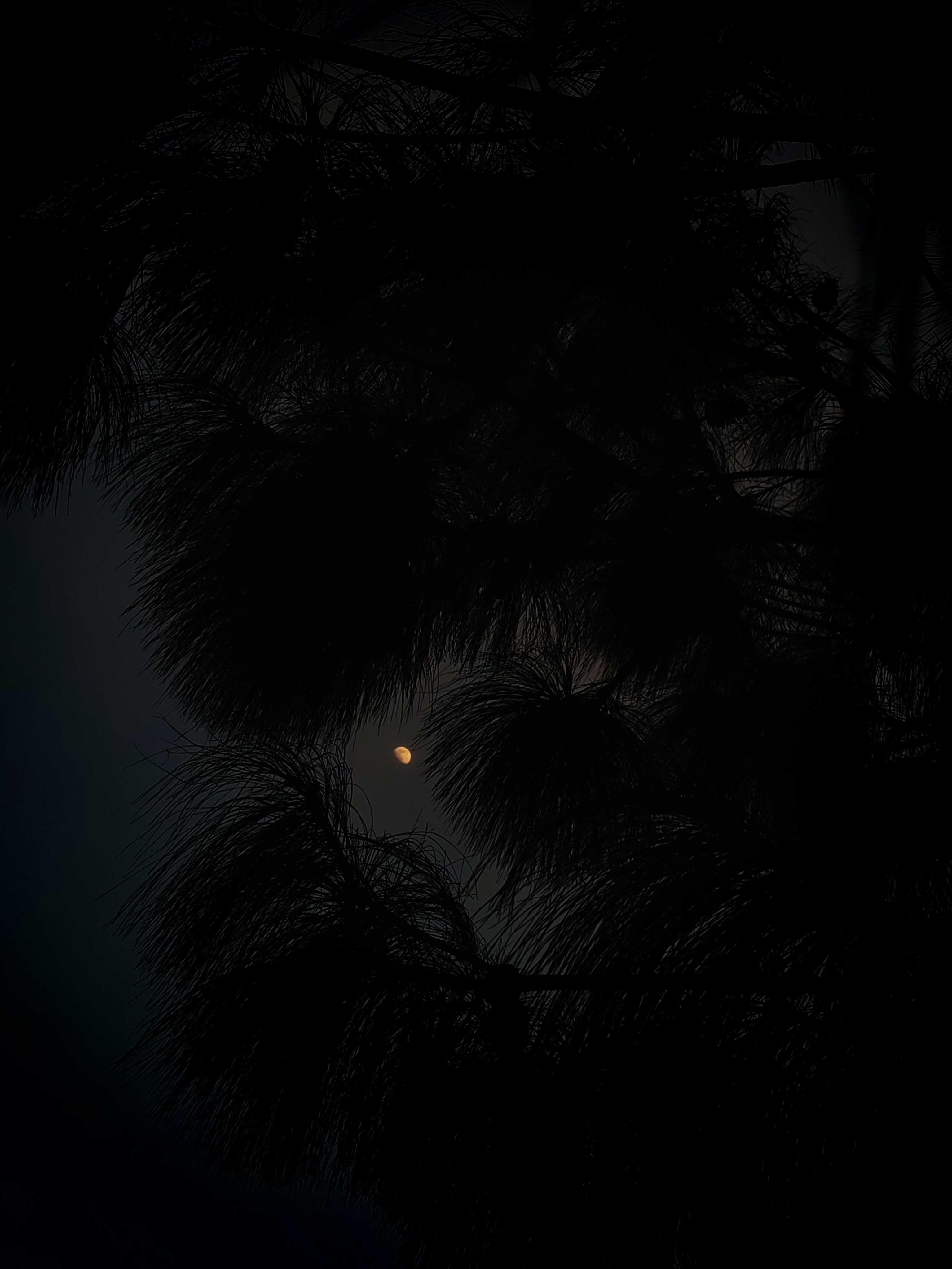 The Moon over Zapopan, Mexico — waxing gibbous, Lunar Day 12