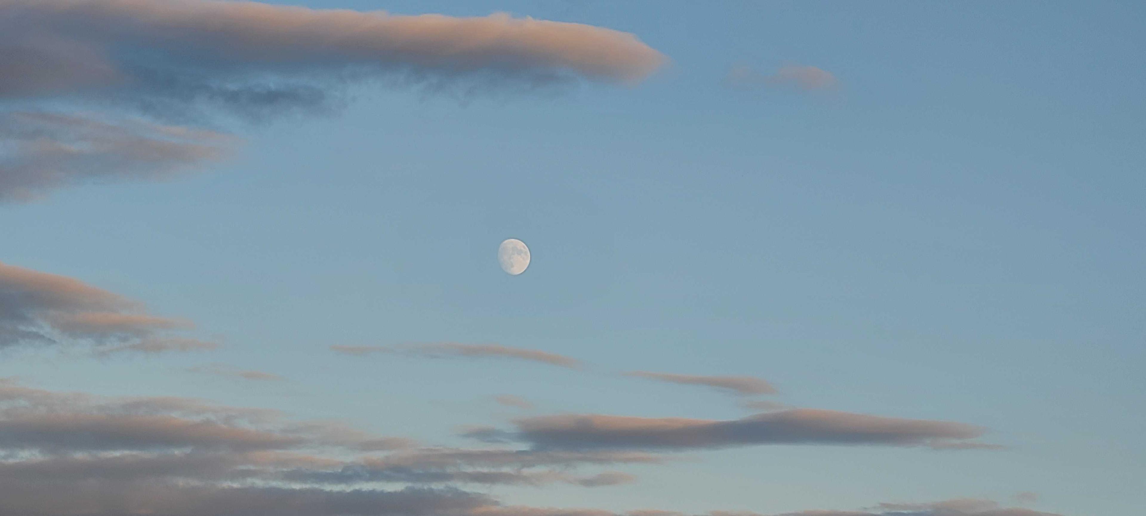 The Moon over Romulus, United States — waxing gibbous, Lunar Day 13