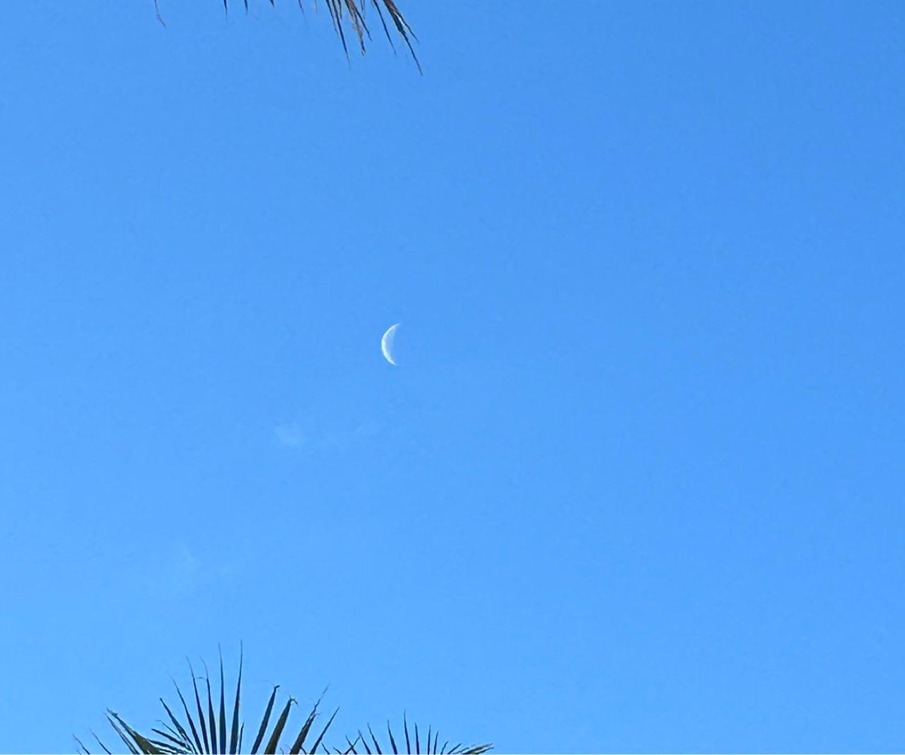 The Moon over Dania, Estados Unidos — waning crescent, Lunar Day 25
