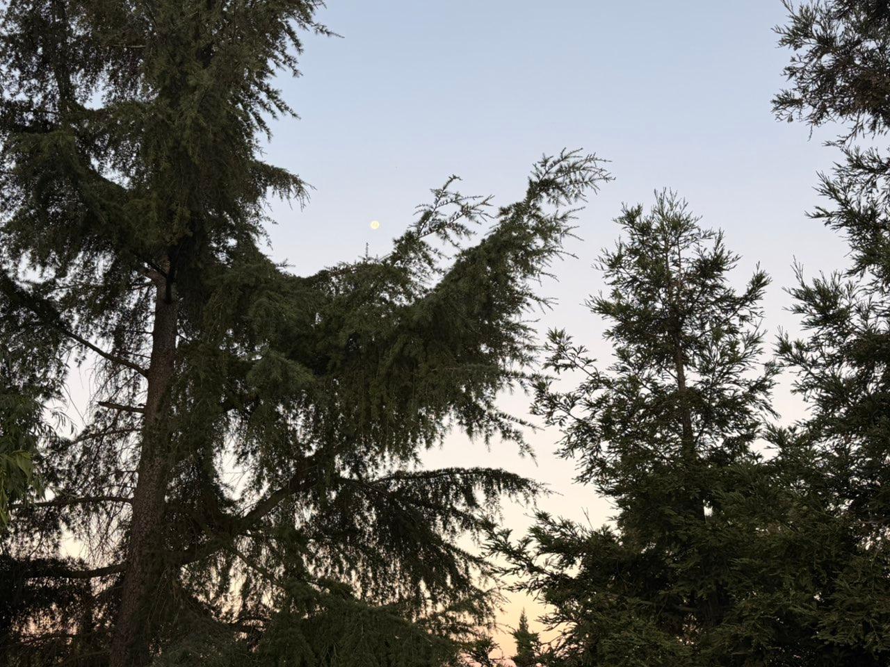 The Moon over Lodi, United States — waning gibbous, Lunar Day 19