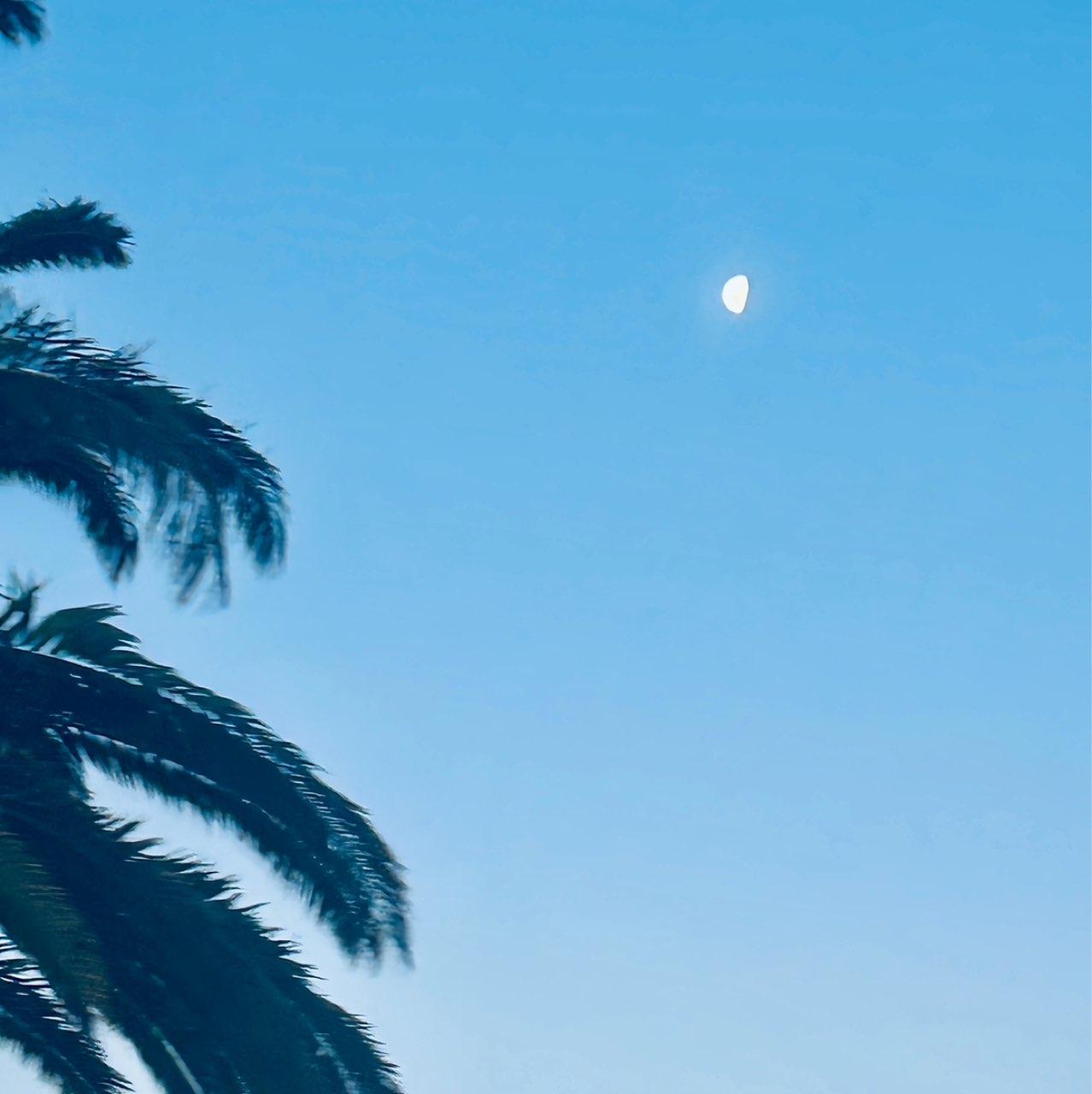 The Moon over Durbanville, South Africa — waxing gibbous, Lunar Day 9