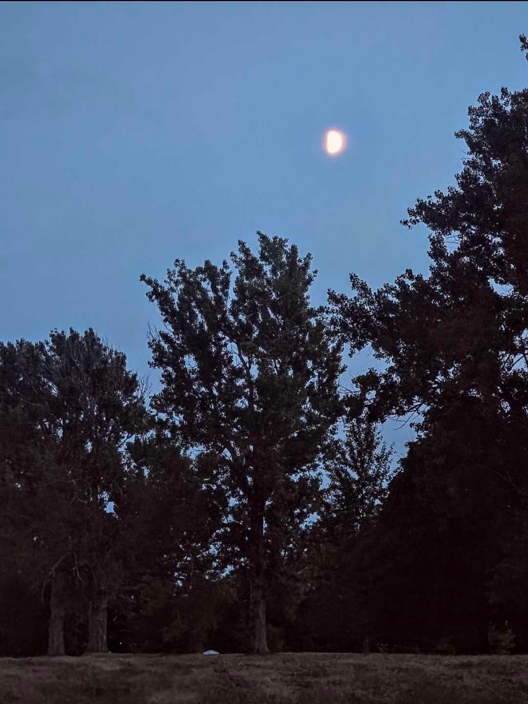 The Moon over Bathurst, Canada — first quarter, Lunar Day 10