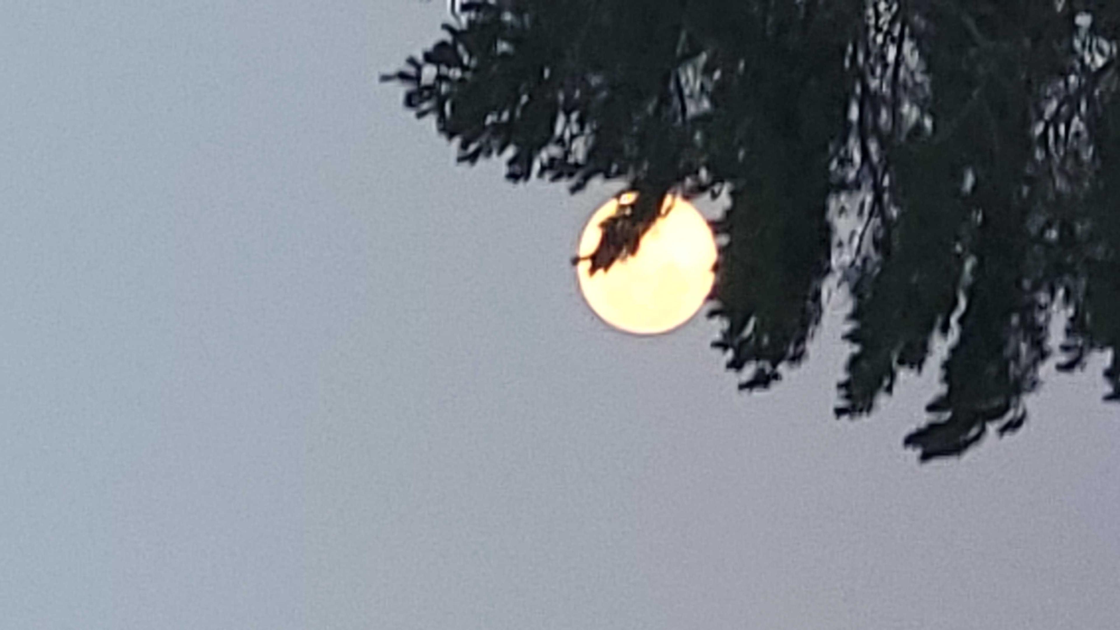 The Moon over United Kingdom — full moon, Lunar Day 16