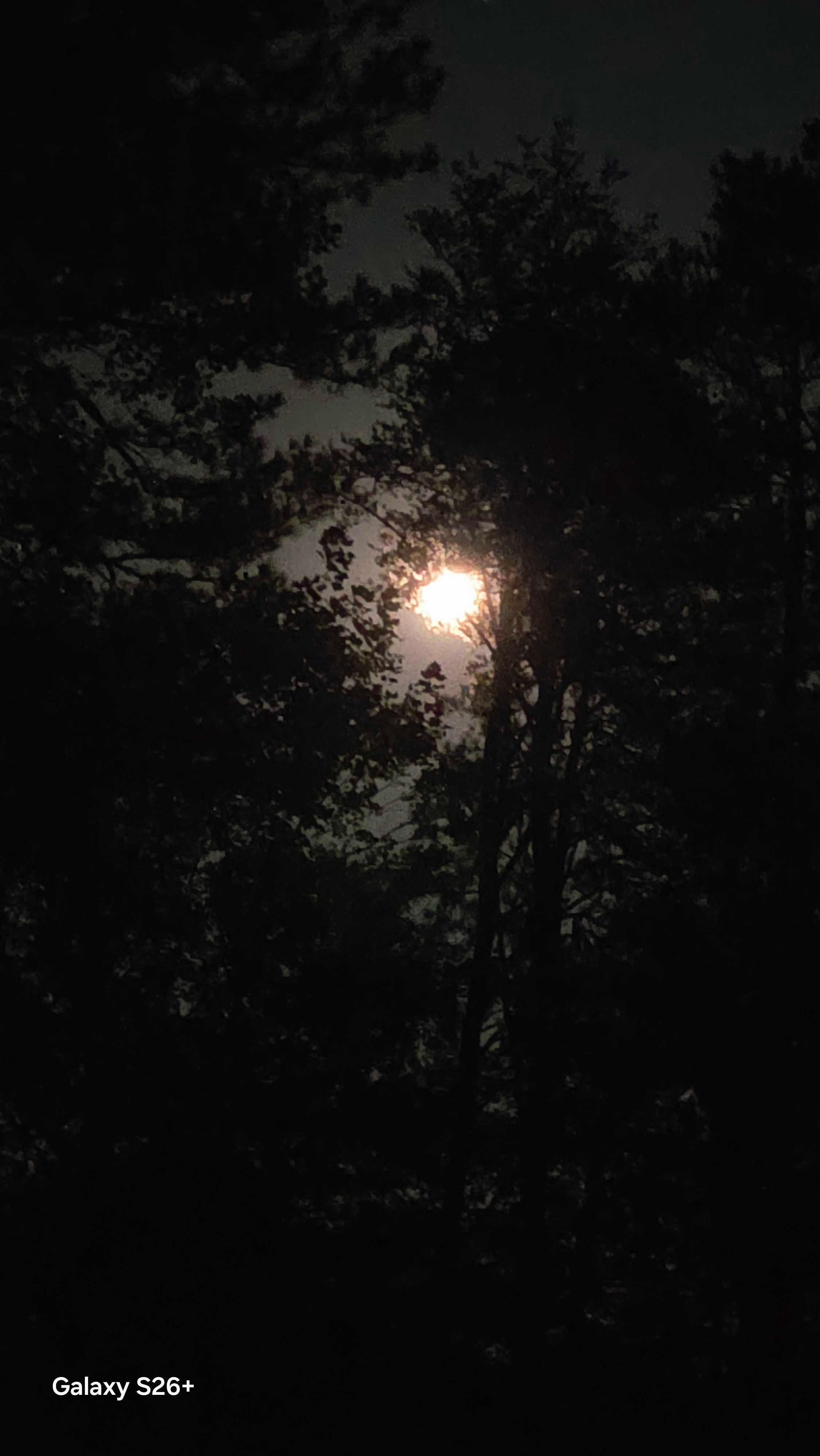 The Moon over Asheville, United States — full moon, Lunar Day 16