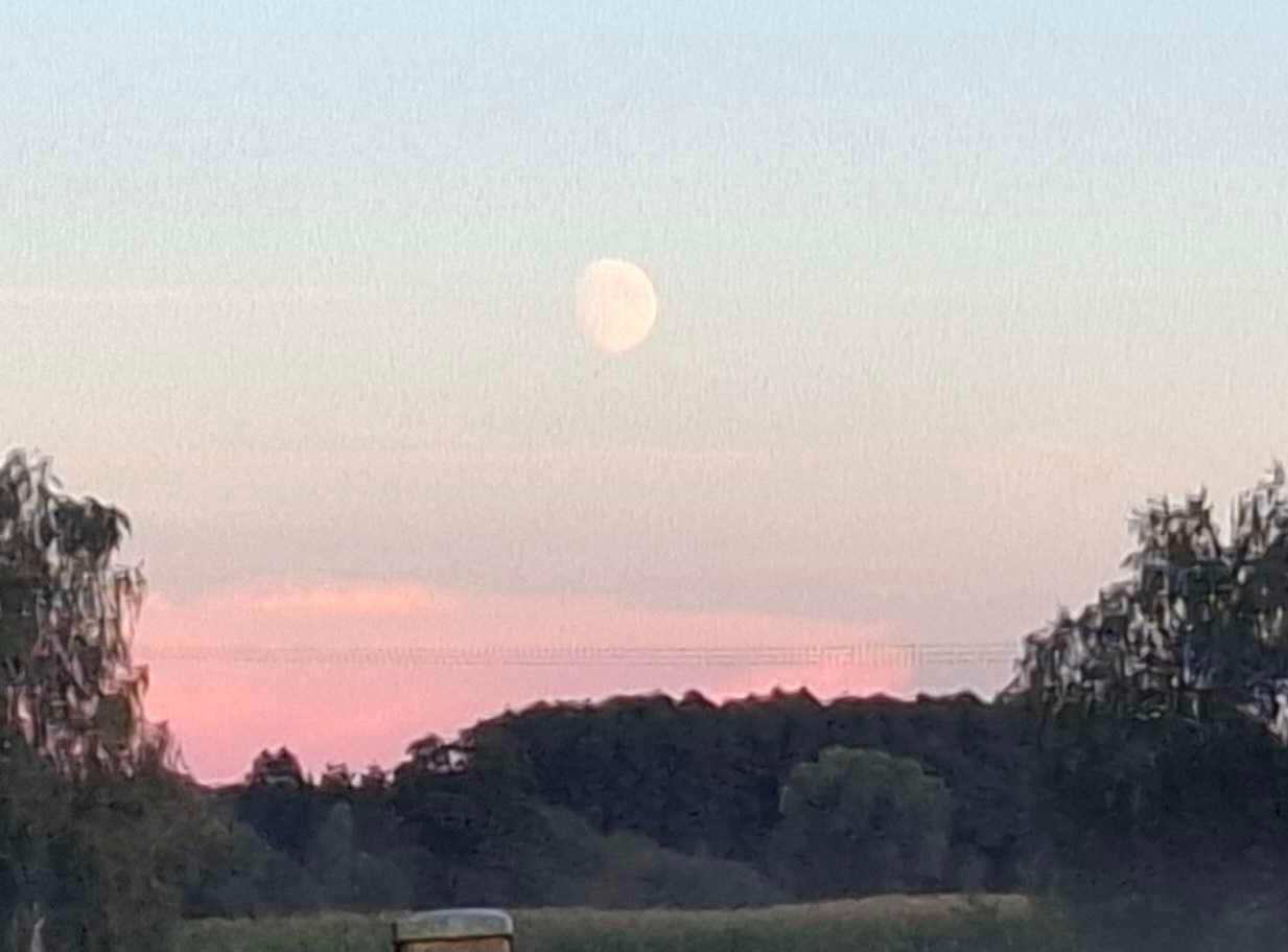 The Moon over Englewood, Stany Zjednoczone — waxing gibbous, Lunar Day 12