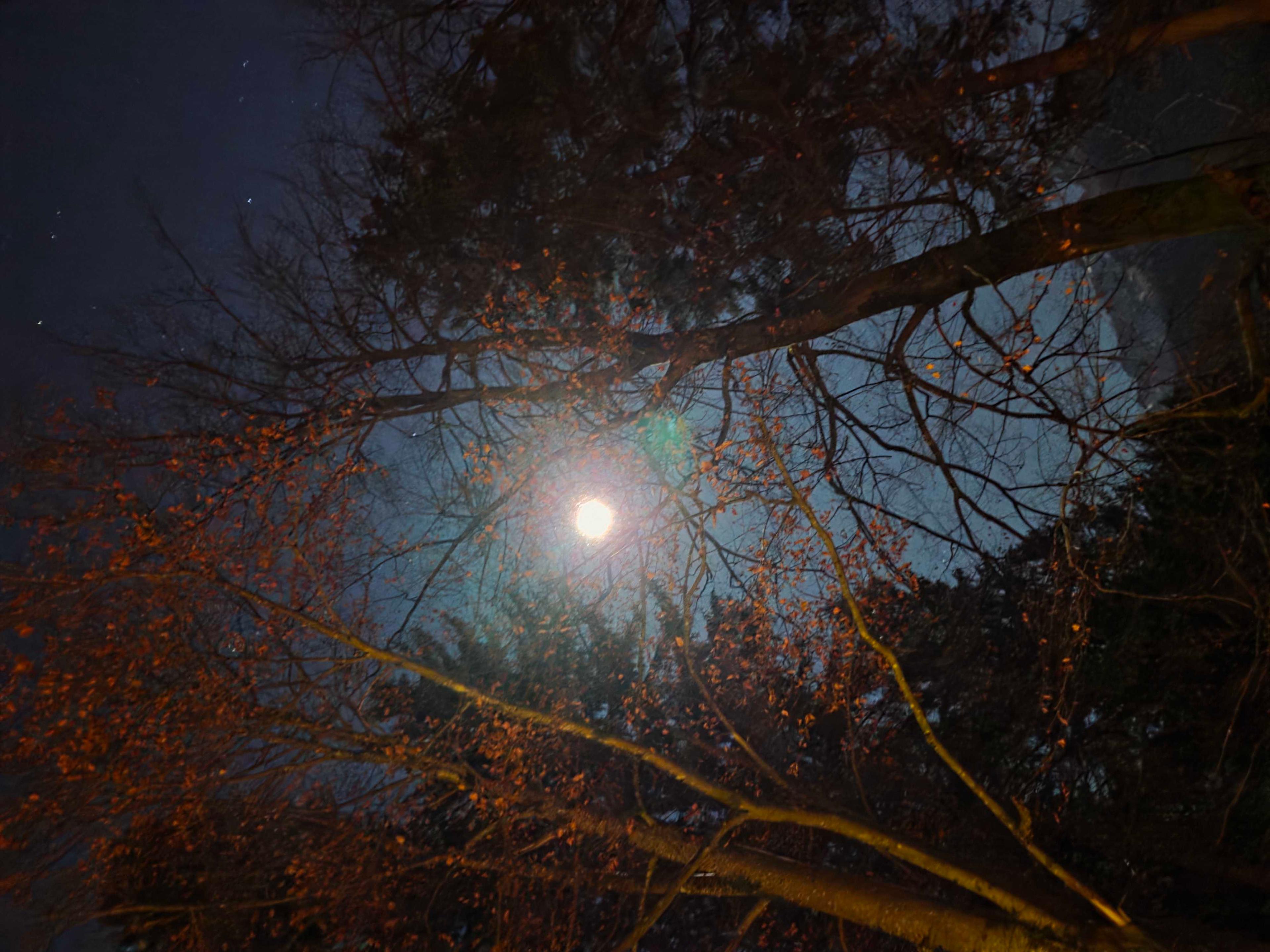 The Moon over Tarvisio, Italia — waxing gibbous, Lunar Day 14
