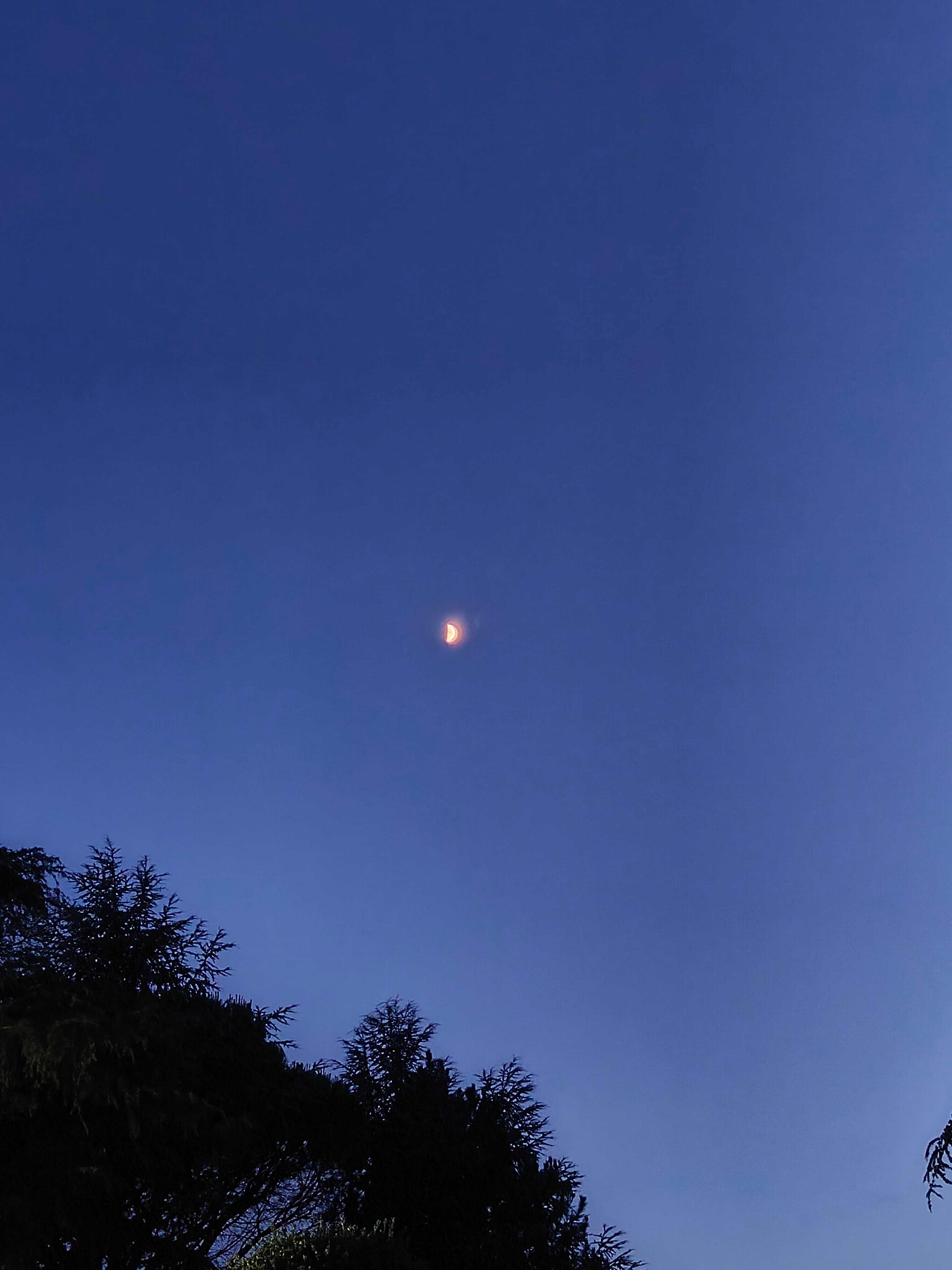 The Moon over Carraia, Italia — first quarter, Lunar Day 8