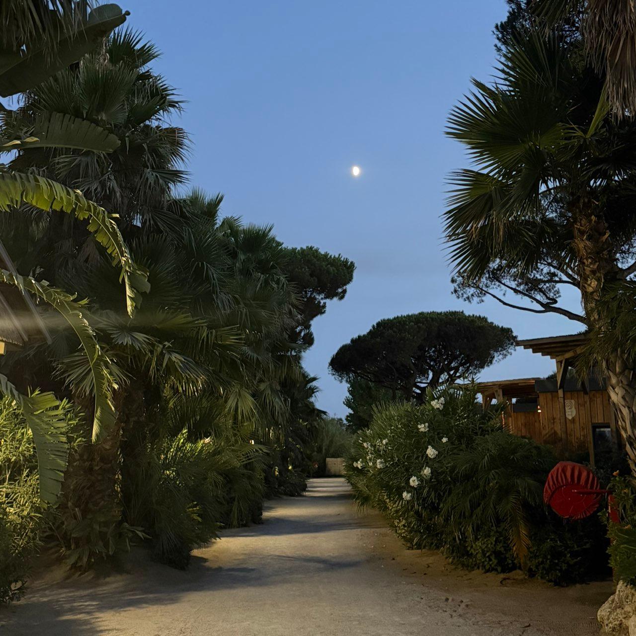 The Moon over Ramatuelle, Frankreich — waxing gibbous, Lunar Day 10