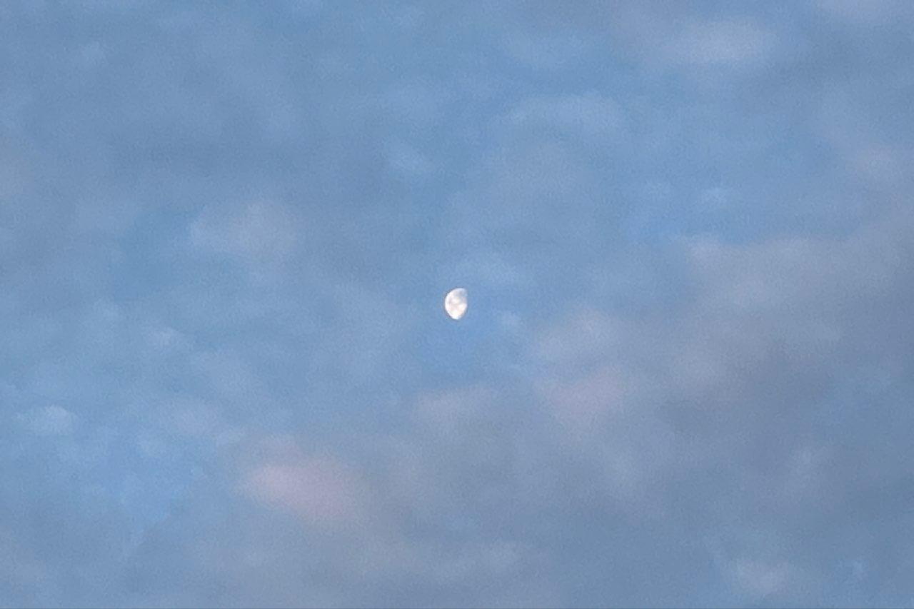 The Moon over Newington, United States — waning gibbous, Lunar Day 21