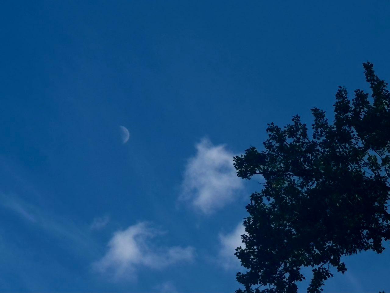 The Moon over Grigaičiai, Lithuania — first quarter, Lunar Day 7