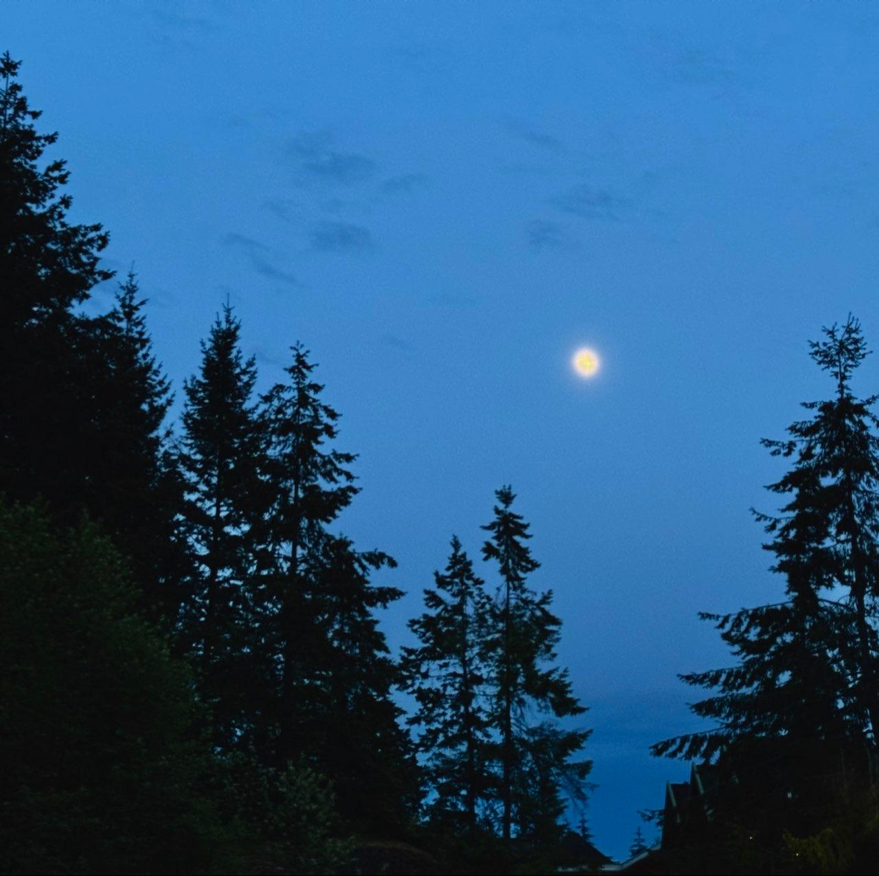 The Moon over Tofino, Canada — full moon, Lunar Day 14