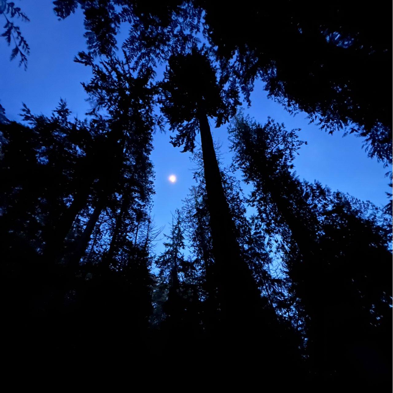 The Moon over Squamish, Canada — waxing gibbous, Lunar Day 11