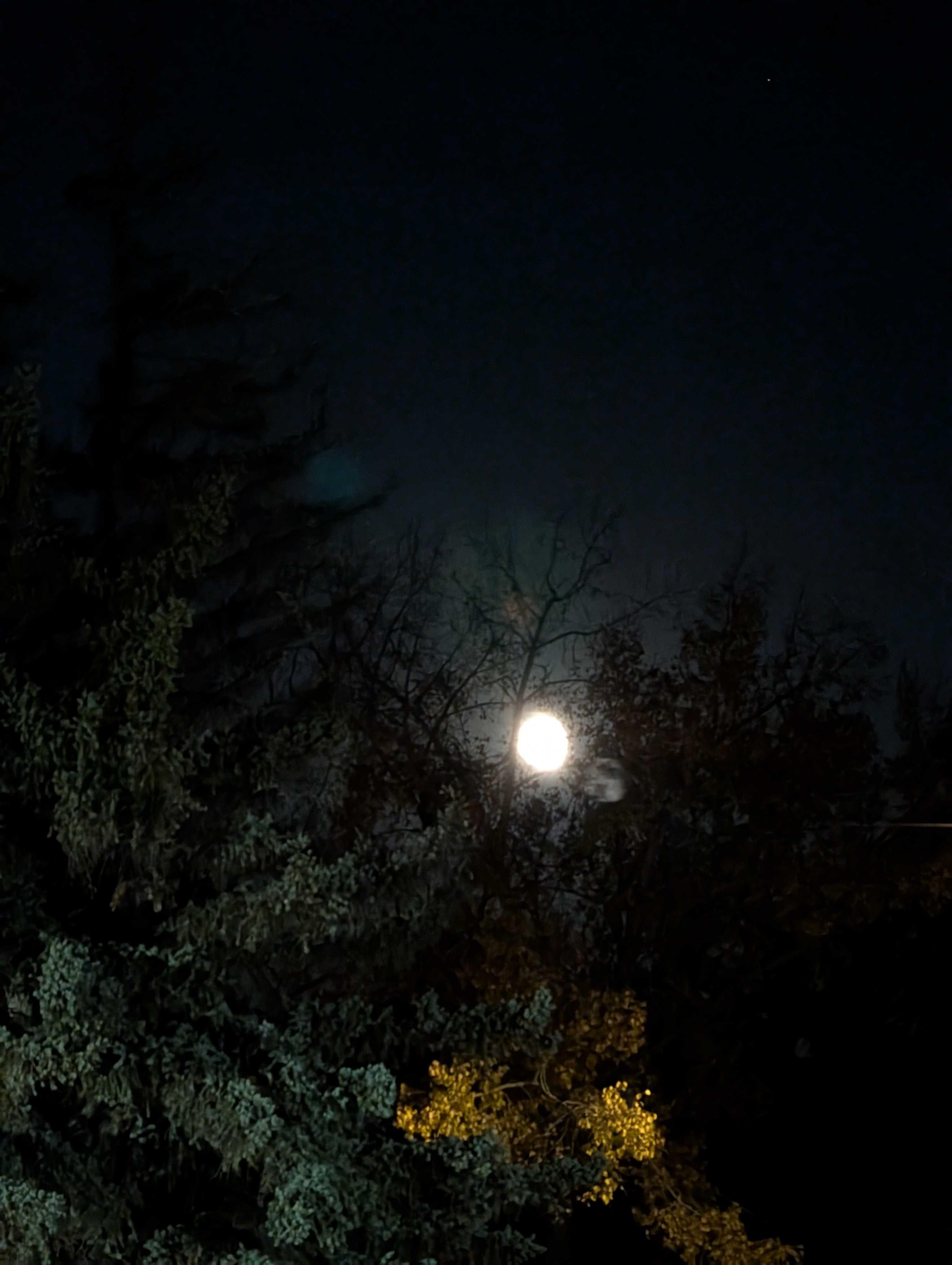 The Moon over Edmonton, Canada — waning gibbous, Lunar Day 19