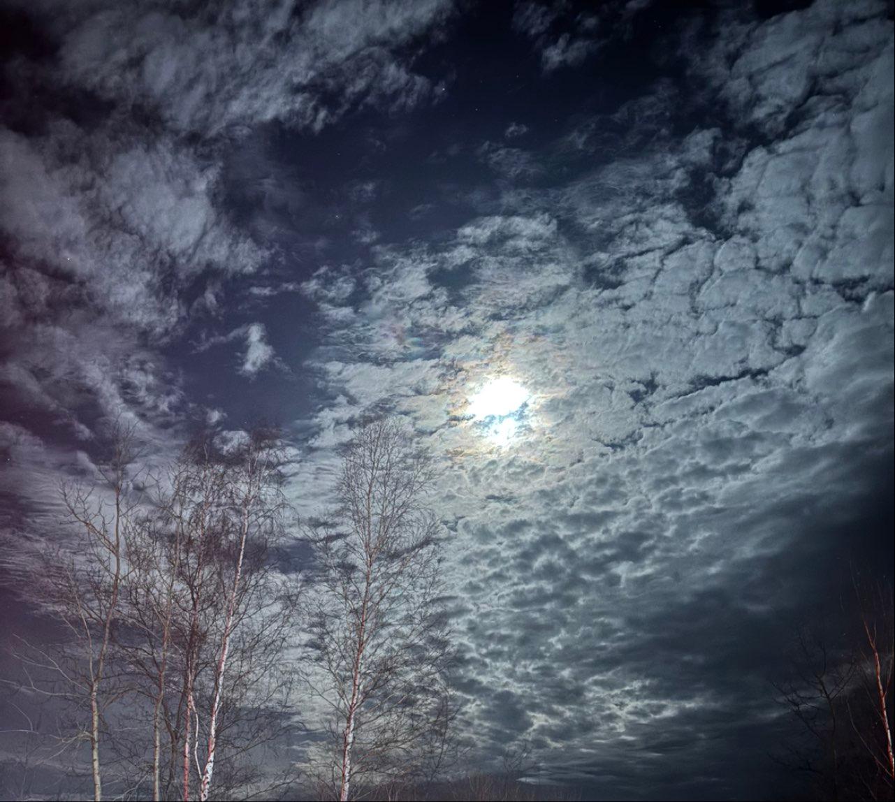 The Moon over Минск, Беларусь — last quarter, Lunar Day 20