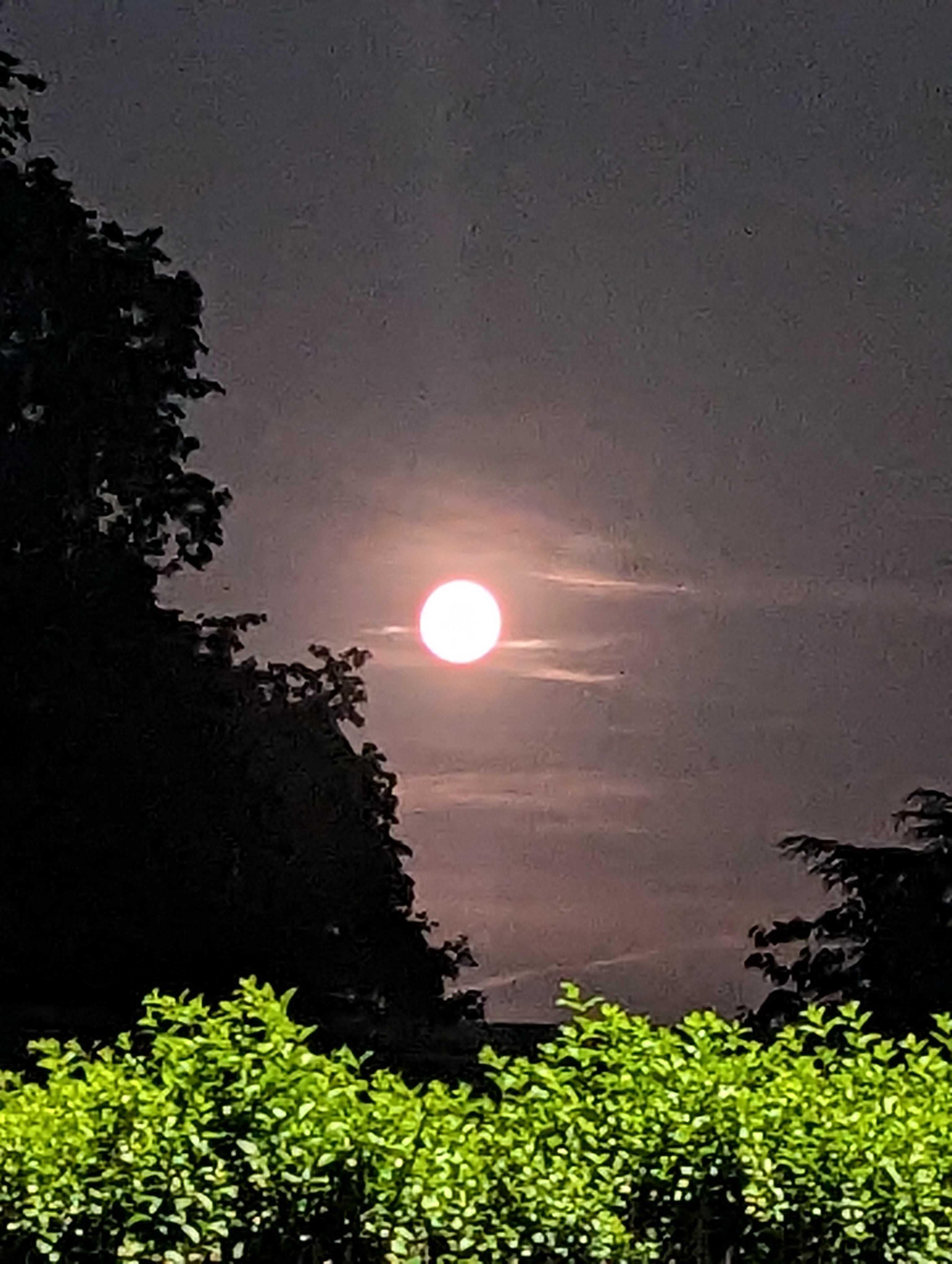 The Moon over United Kingdom — full moon, Lunar Day 16