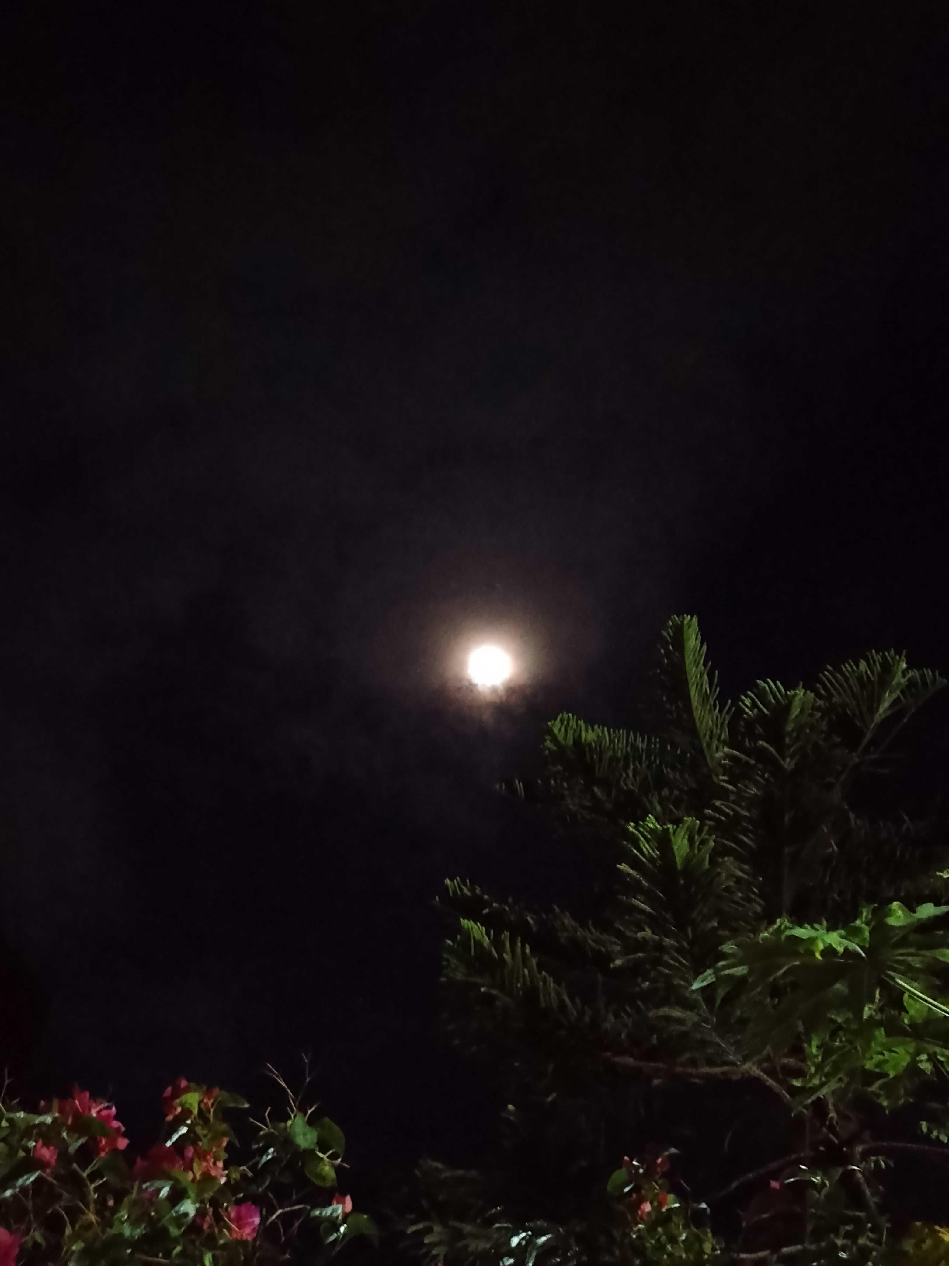 The Moon over Quezon City, Philippines — waning gibbous, Lunar Day 21