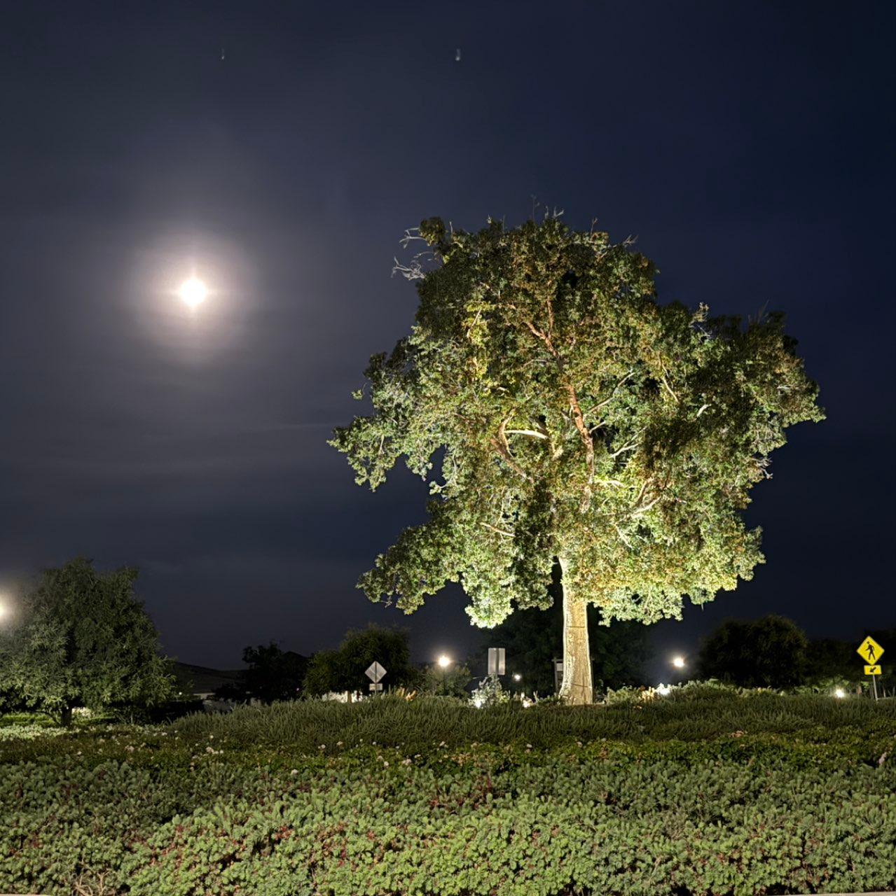 The Moon over Bakersfield, United States — waning gibbous, Lunar Day 17
