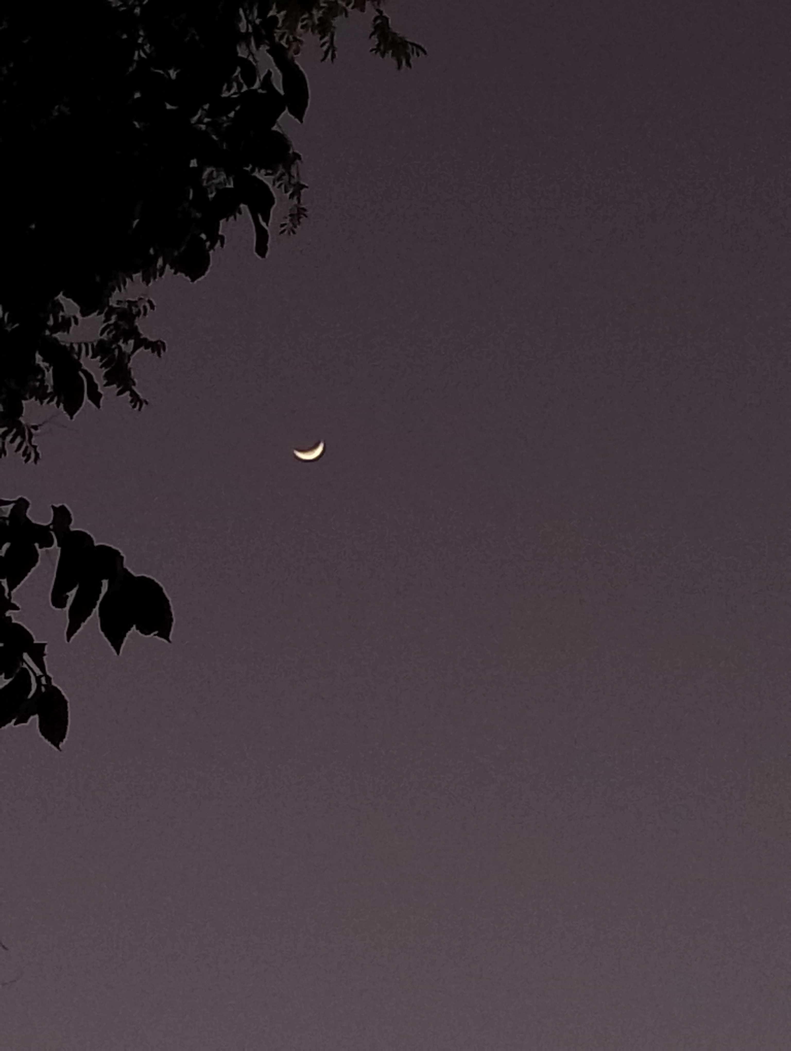 The Moon over Zapala, Argentina — waning crescent, Lunar Day 25