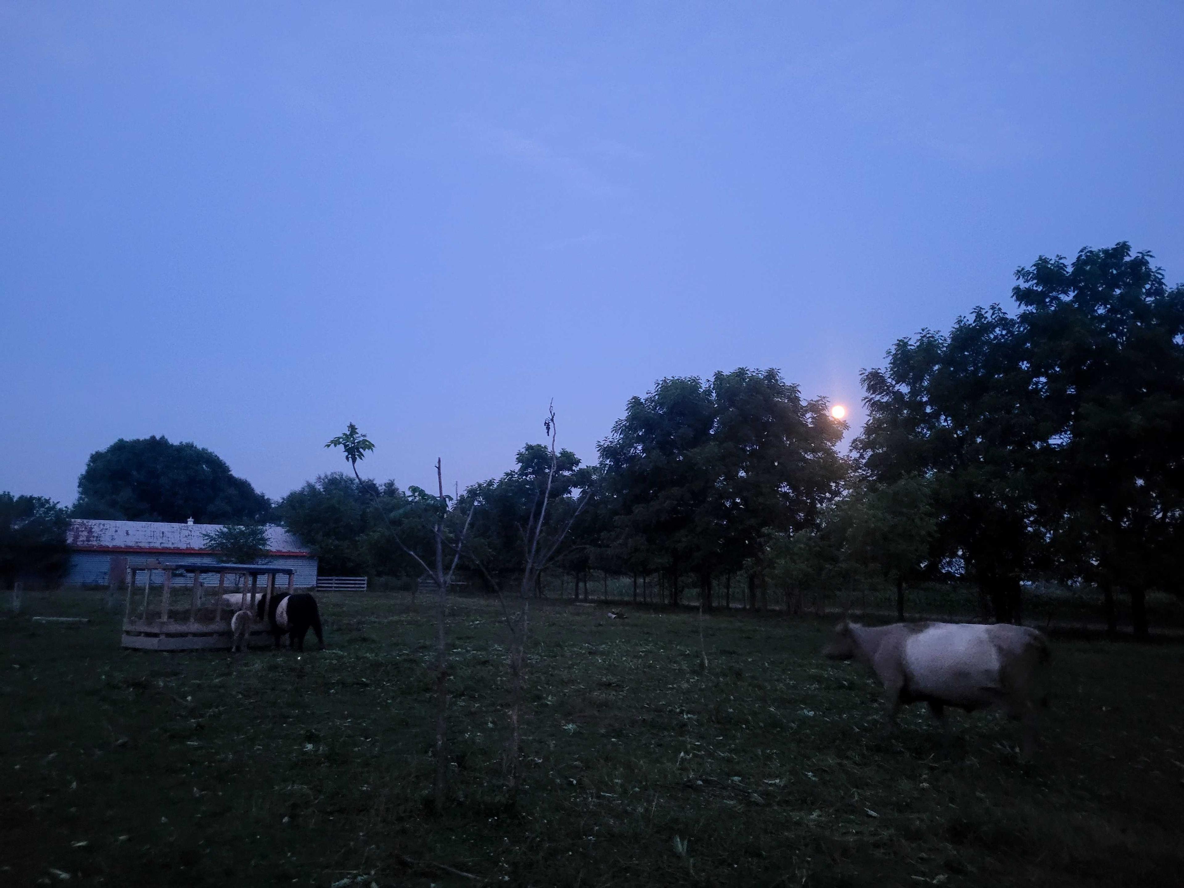 The Moon over Thames Centre, Canada — full moon, Lunar Day 14