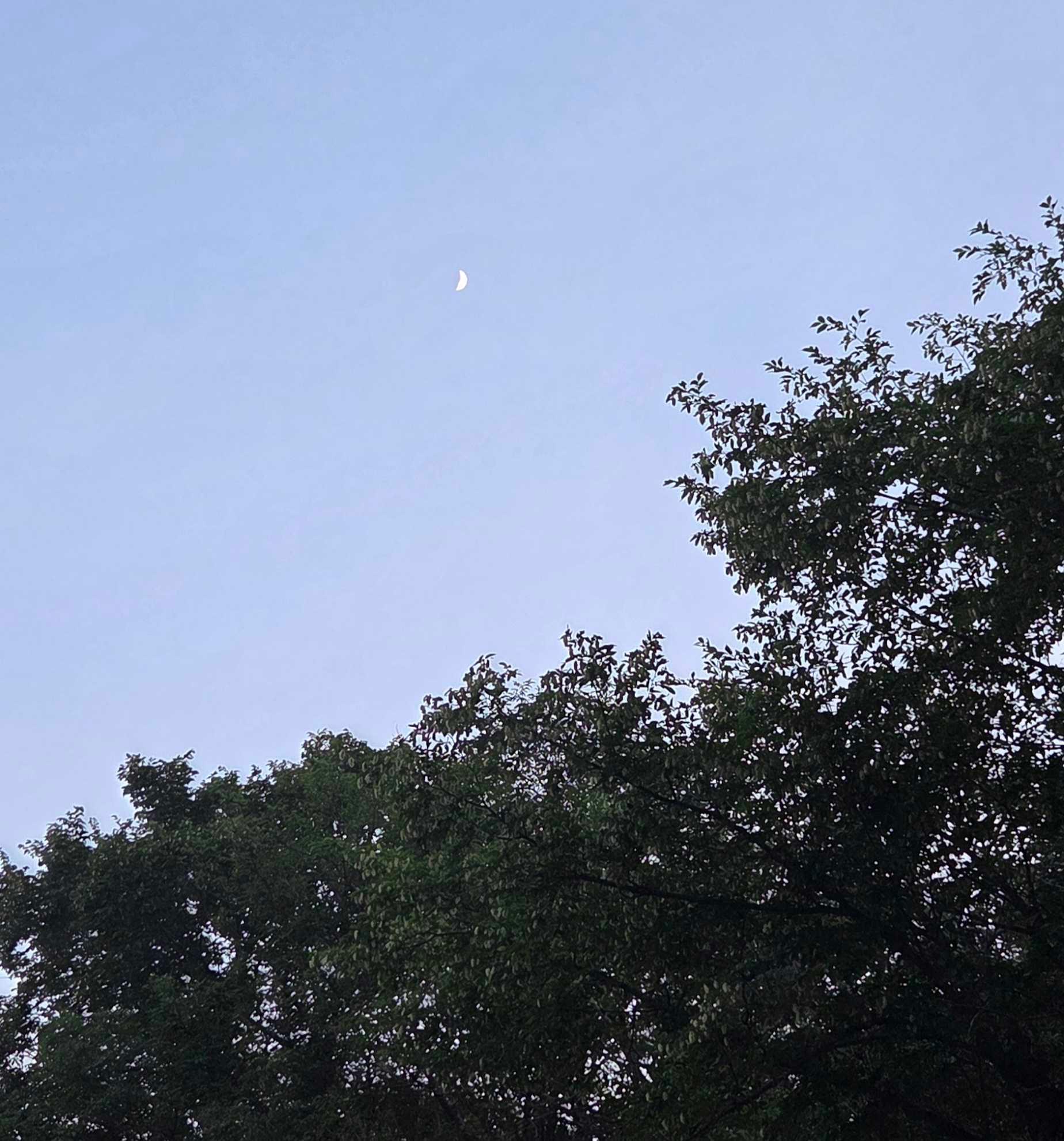 The Moon over Trieste, Italia — first quarter, Lunar Day 7