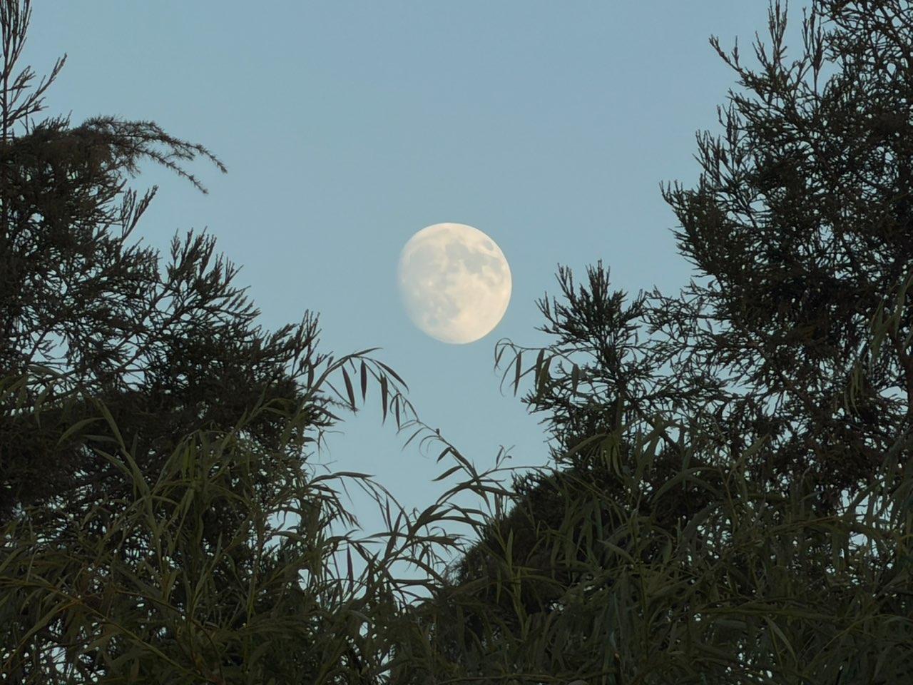 The Moon over Lodi, United States — waxing gibbous, Lunar Day 14