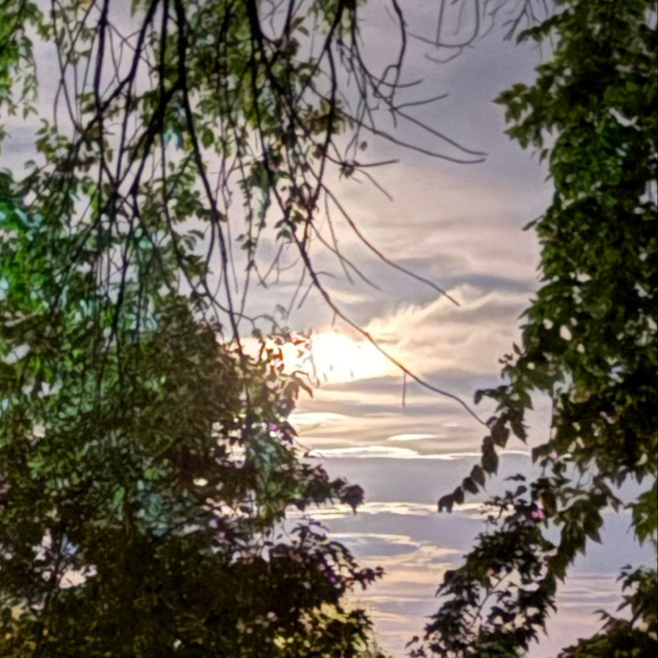 The Moon over New Orleans, United States — waning gibbous, Lunar Day 20