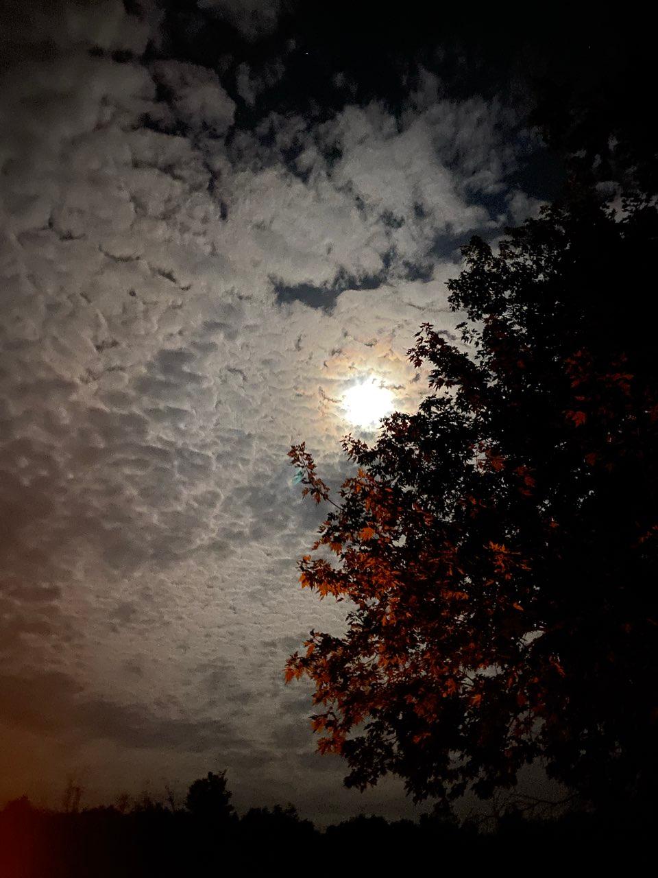 The Moon over Montague, Canada — full moon, Lunar Day 16