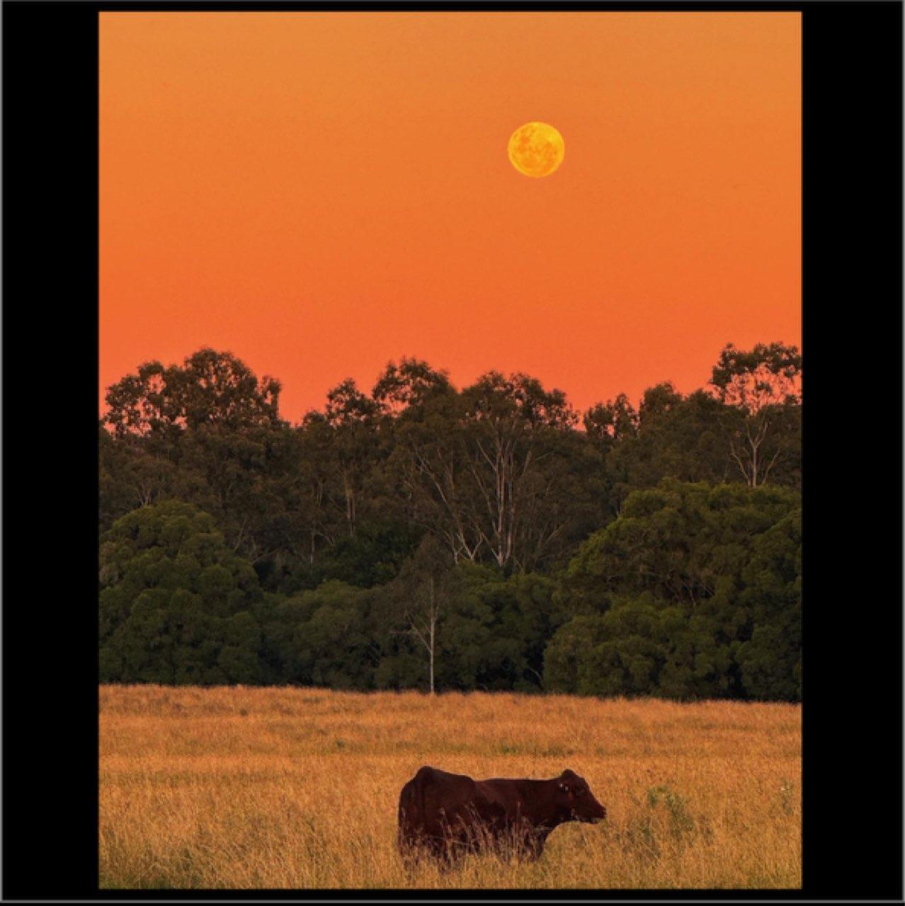 The Moon over Yarrabilba, Australia — full moon, Lunar Day 16