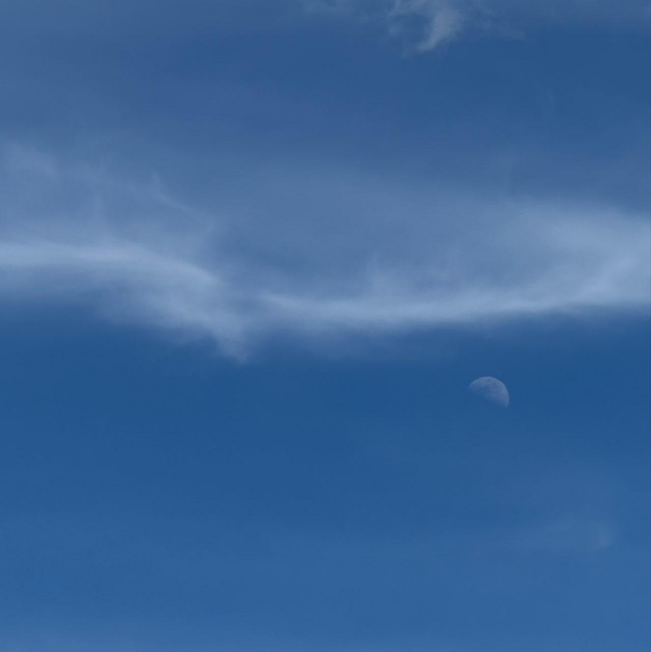 The Moon over Чернівці, Україна — first quarter, Lunar Day 8