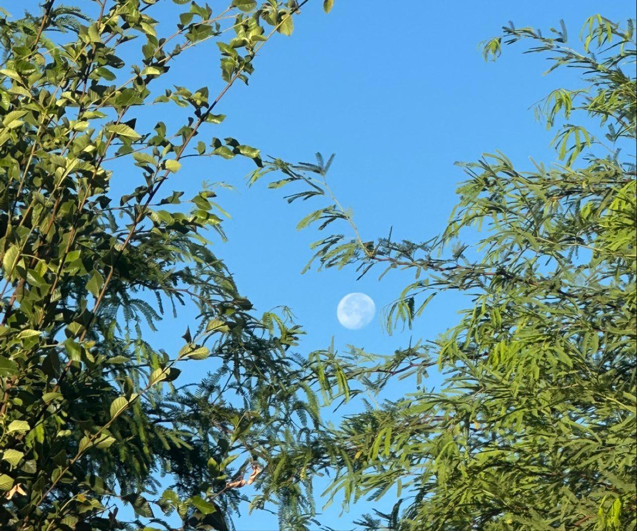 The Moon over Surprise, United States — waning gibbous, Lunar Day 18
