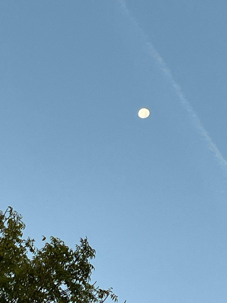 The Moon over Paris, France — waning gibbous, Lunar Day 18