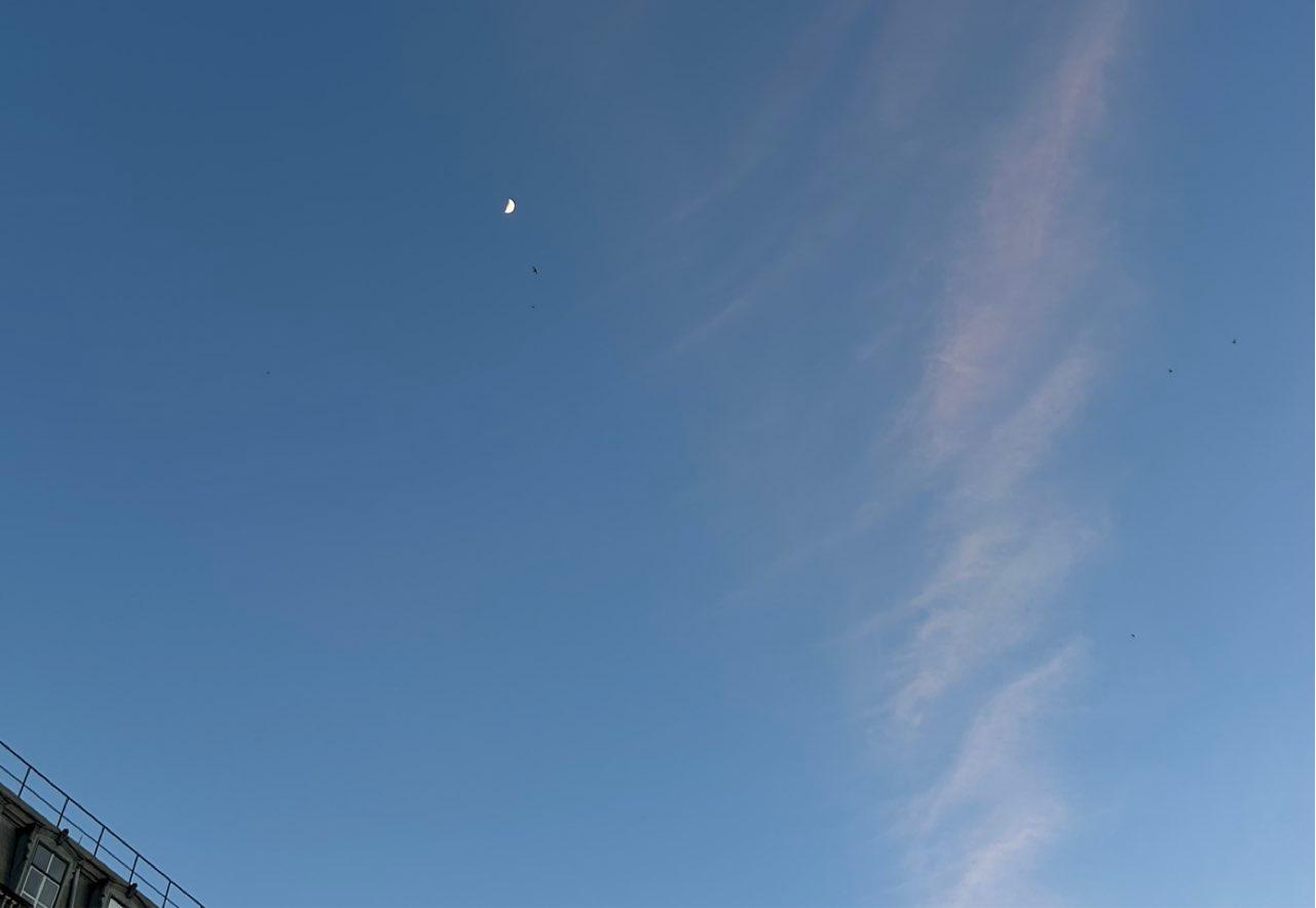 The Moon over Lisboa, Portugal — first quarter, Lunar Day 8