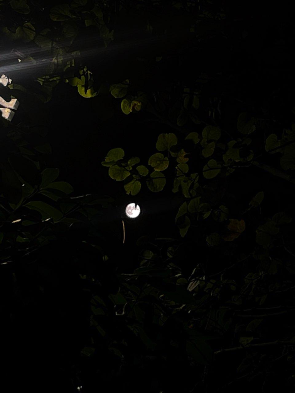 The Moon over Plaisance-du-Touch, France — full moon, Lunar Day 15