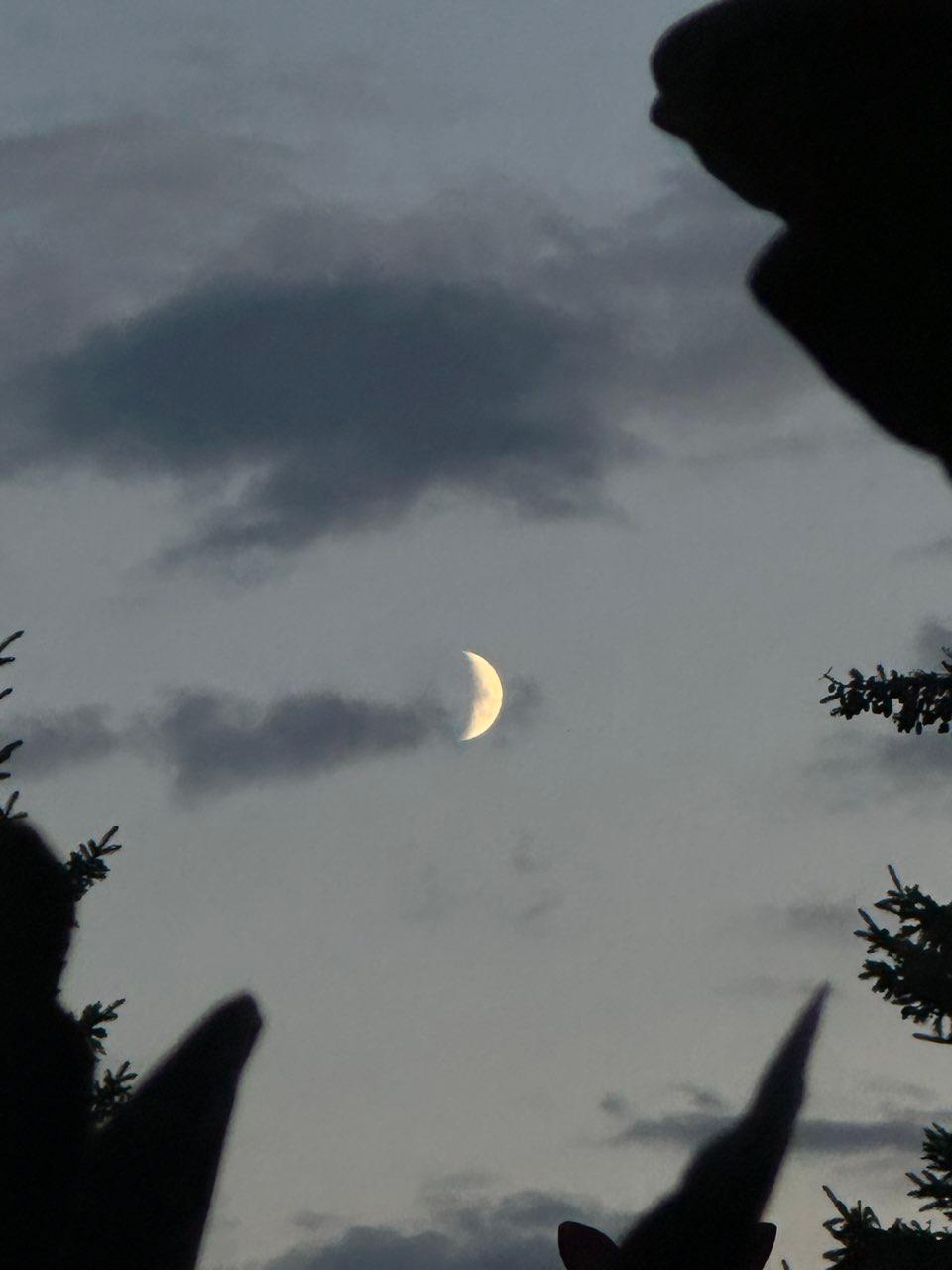 The Moon over Cranbrook, Canada — first quarter, Lunar Day 7