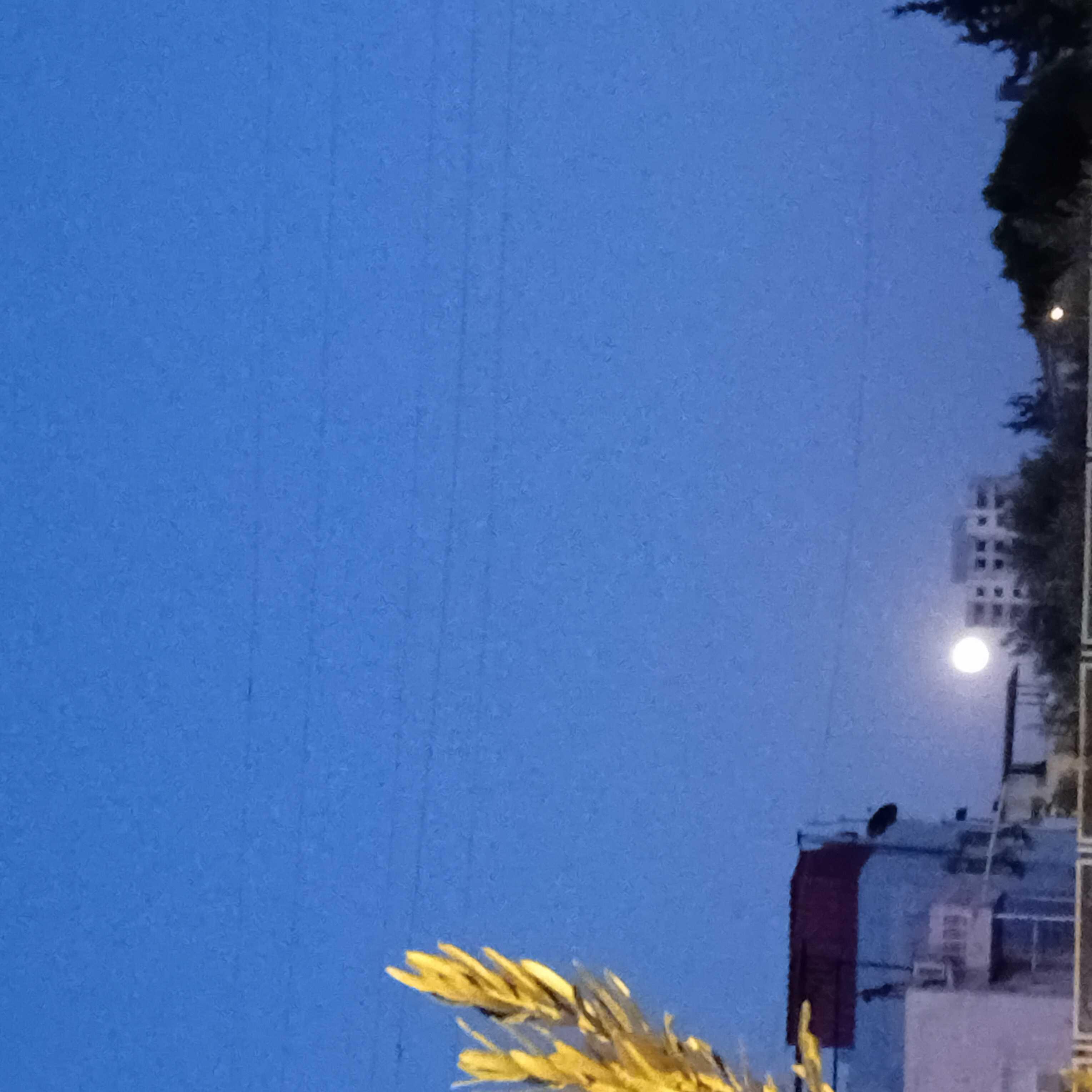 The Moon over Türkiye — full moon, Lunar Day 16