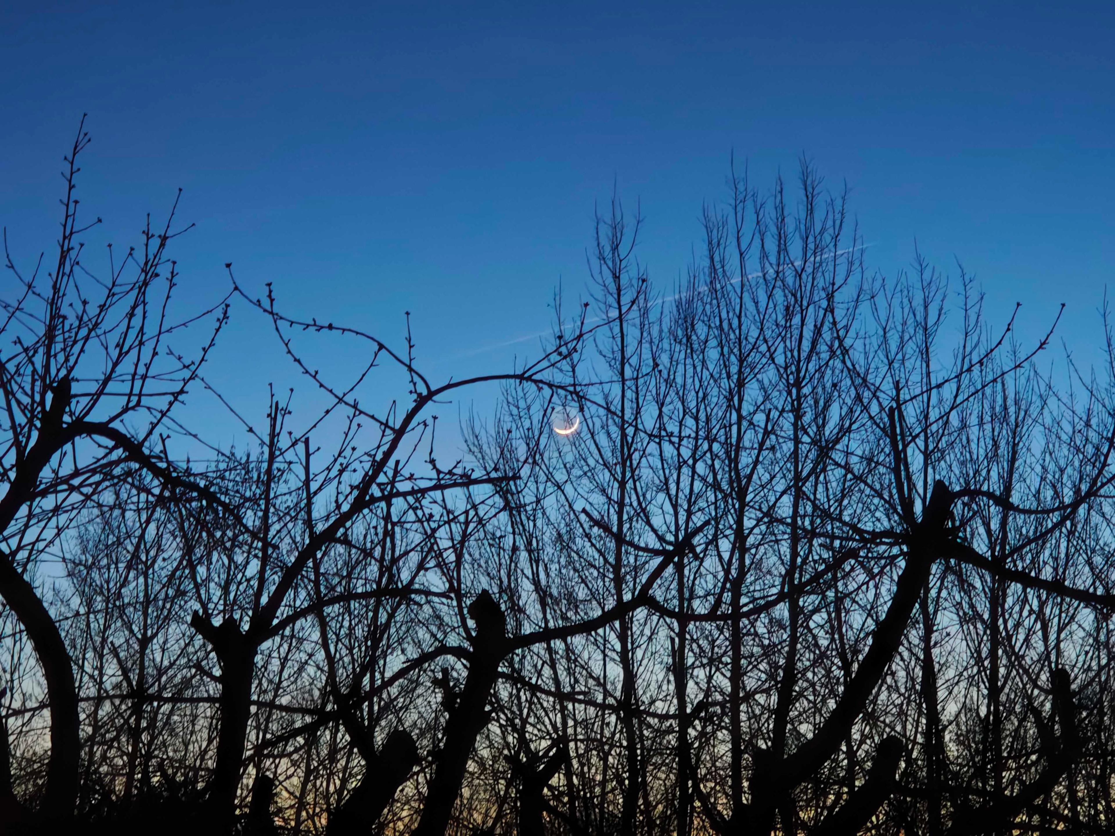 The Moon over Spenge, Deutschland — waxing crescent, Lunar Day 3