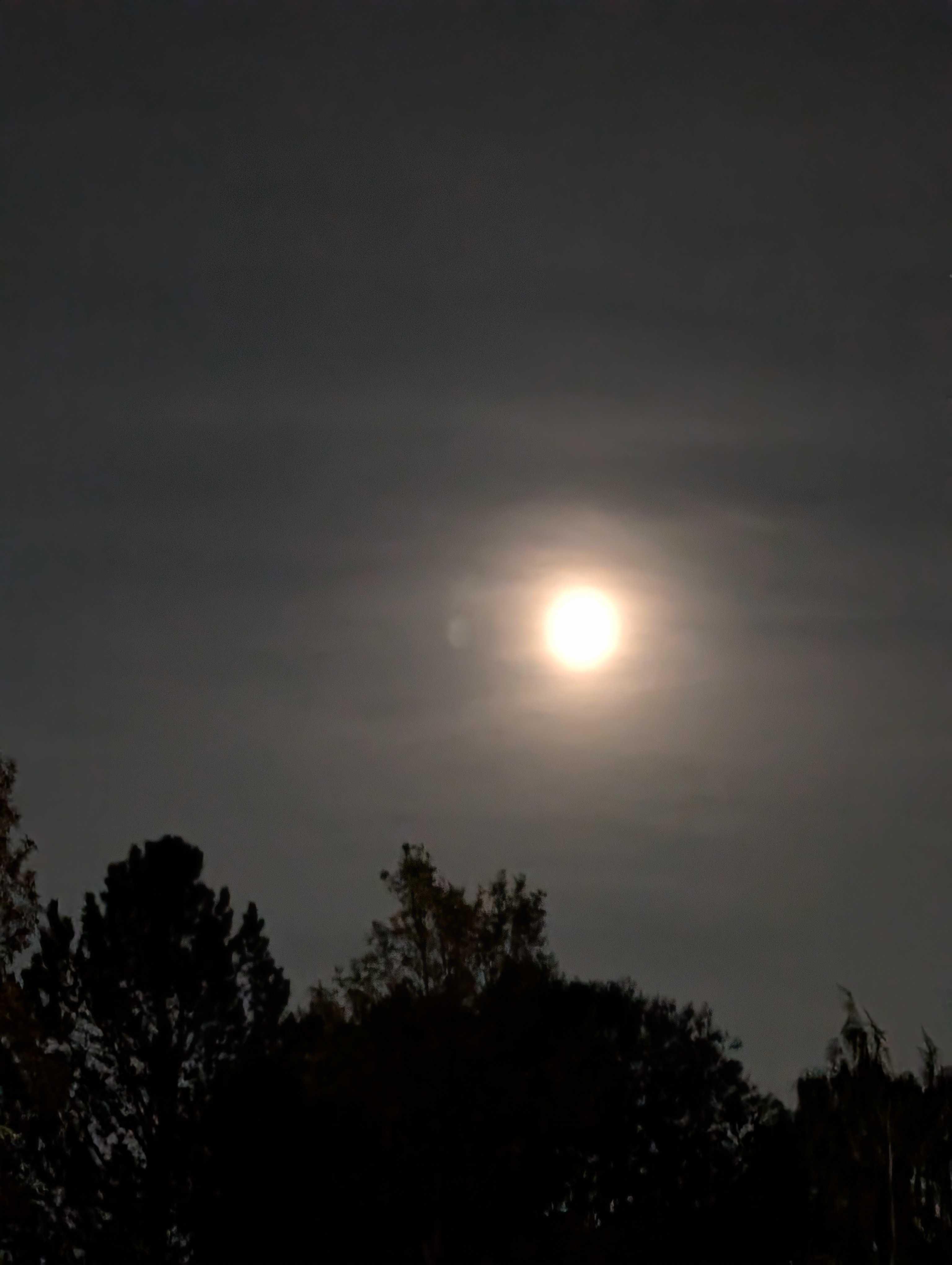 The Moon over Edmonton, Canada — waxing gibbous, Lunar Day 12